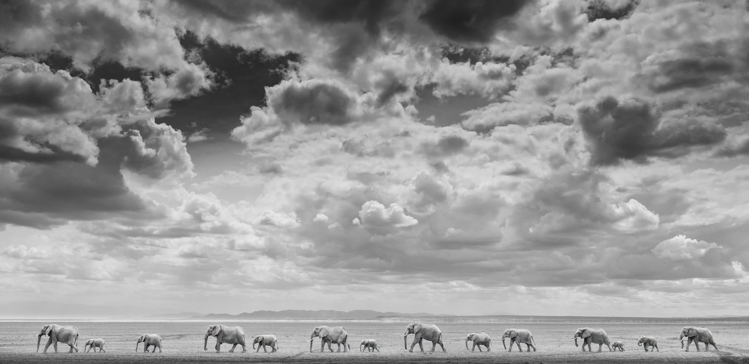 A family herd of elephants walk in single file across a dry lakebed in Amboseli National Park beneath dramatic skies.