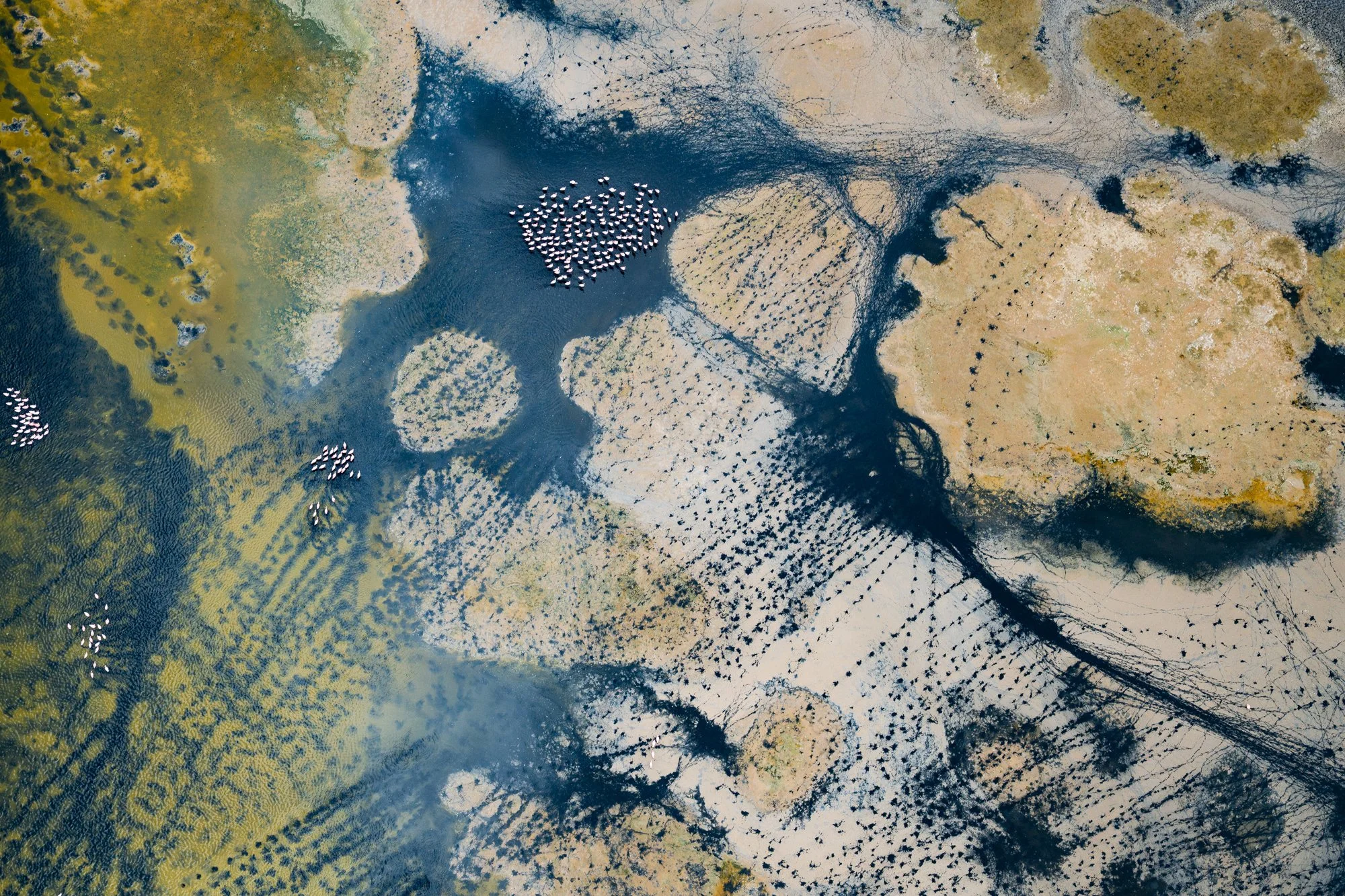 lake-logipi-aerial-landscape-helicopter-safari-kenya.jpg