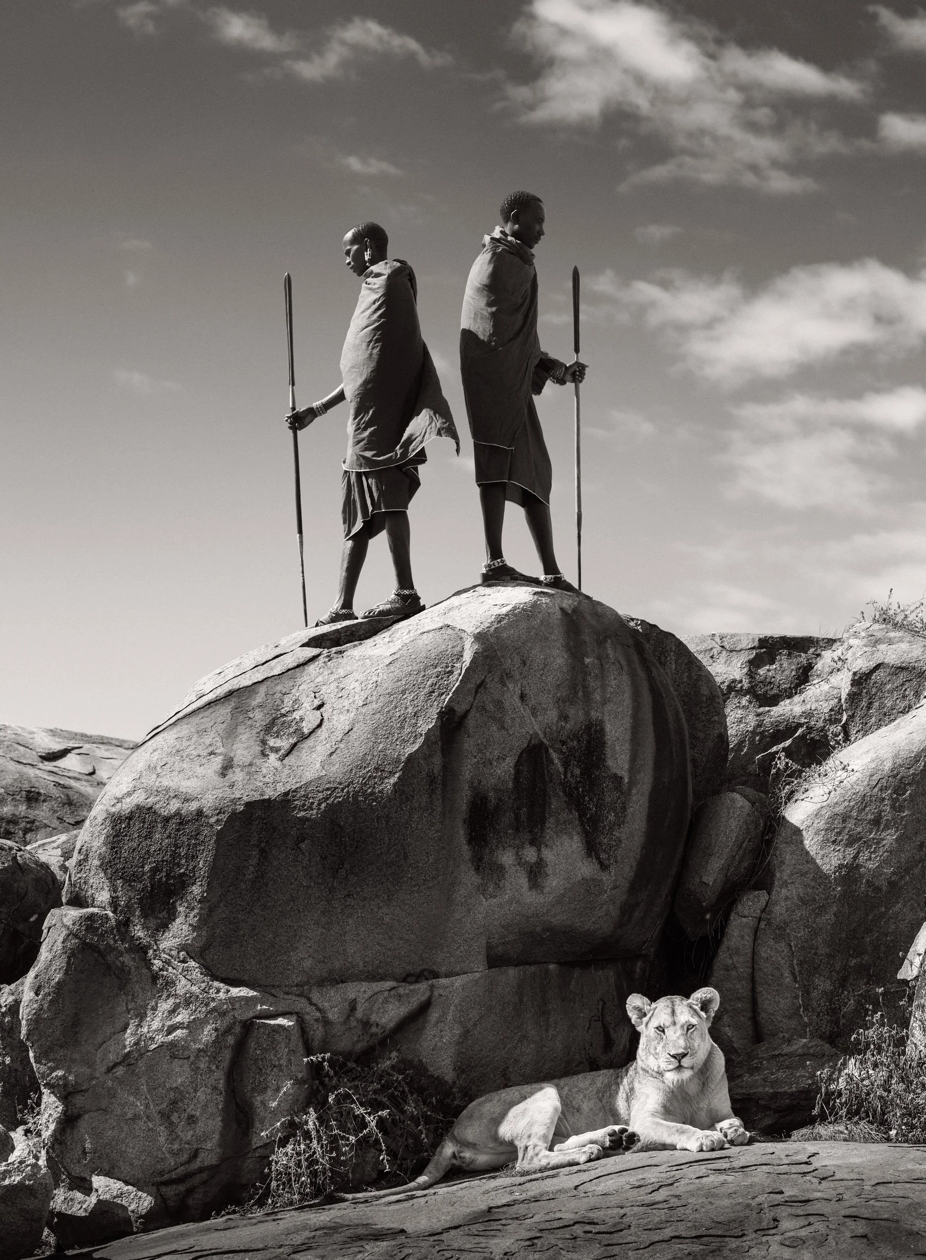 A composite image of two Maasai warriors standing back to back on a kopje, with a lioness resting on the rocks beneath them in the African savanna.