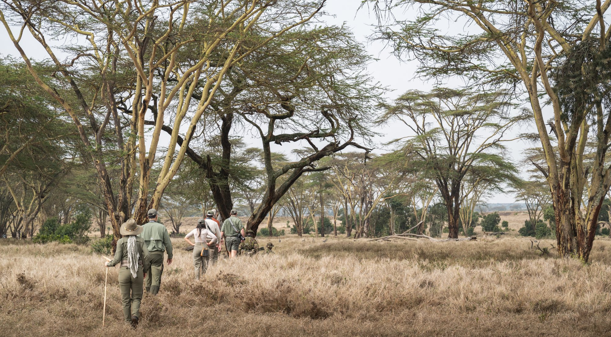walking-safari-borana-conservancy-kenya.jpg