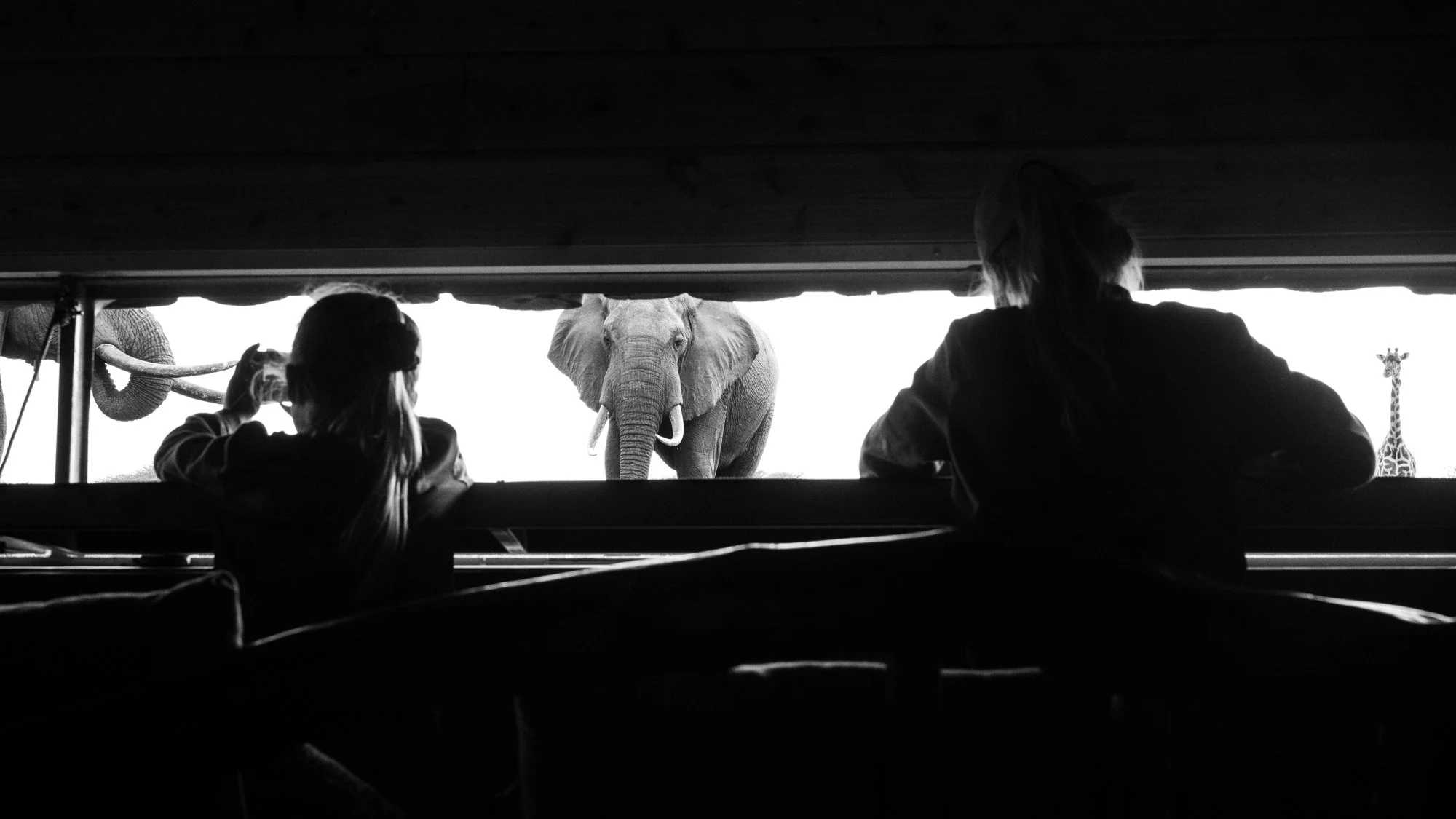 ol-donyo-lodge-photo-hide-chyulu-hills-kenya.jpg