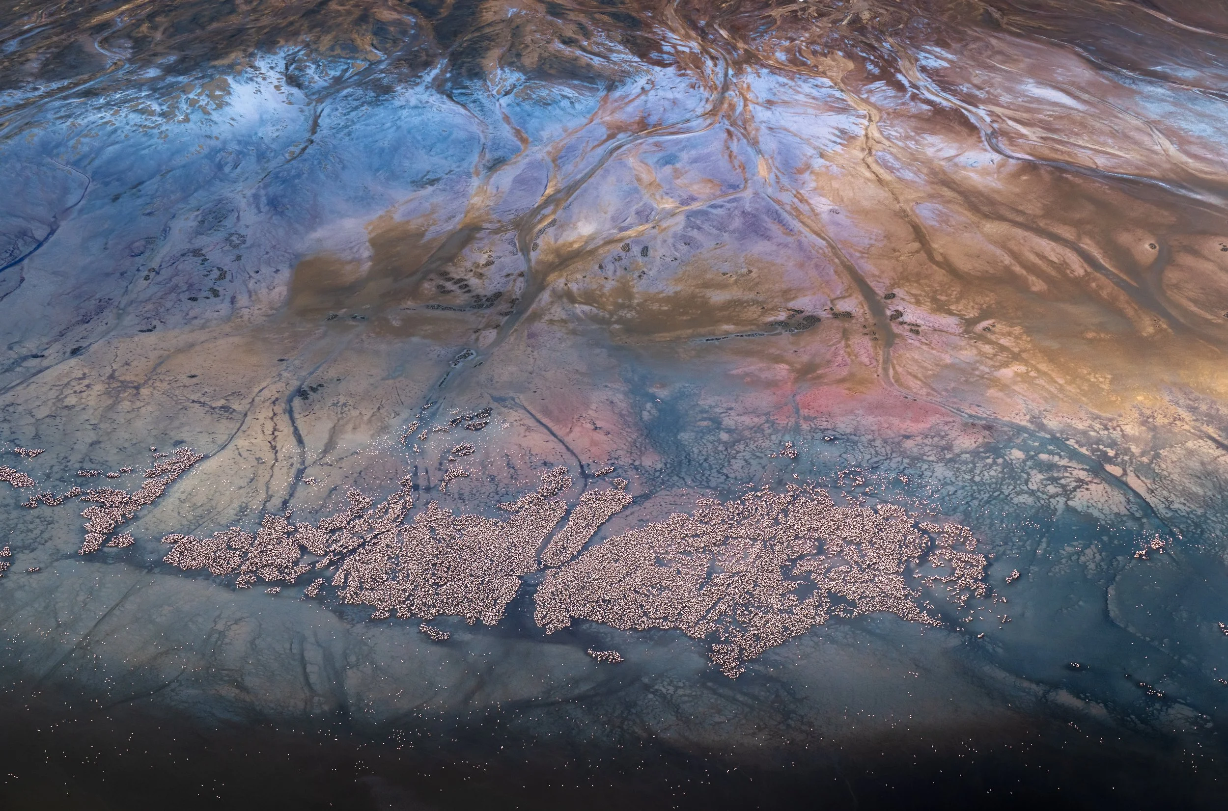 flamingos-aerial-lake-natron-tanzania.jpg