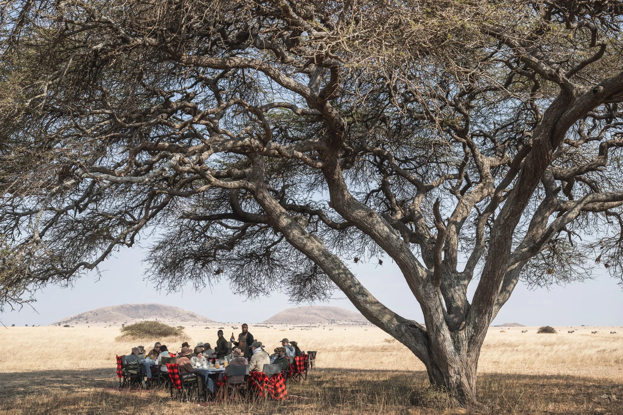bush-breakfast-ol-donyo-lodge-chyulus-kenya.jpg