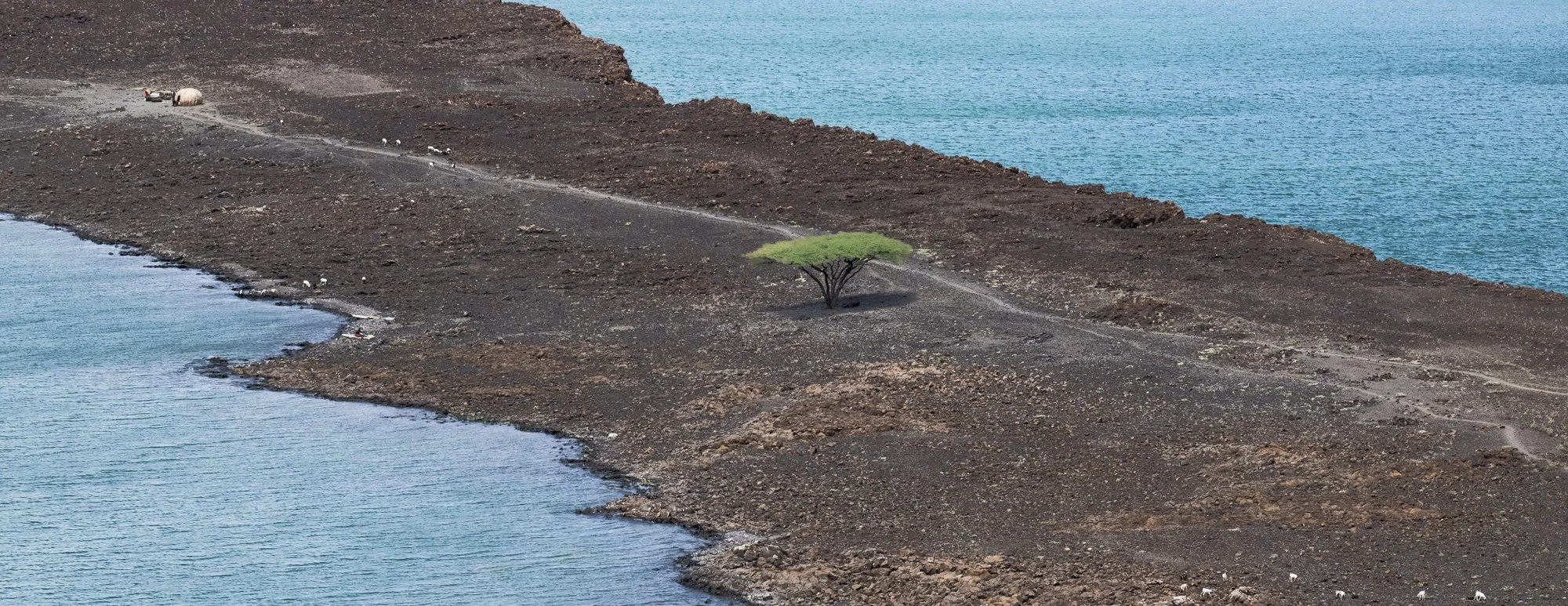 lone-tree-lake-turkana-kenya.jpg