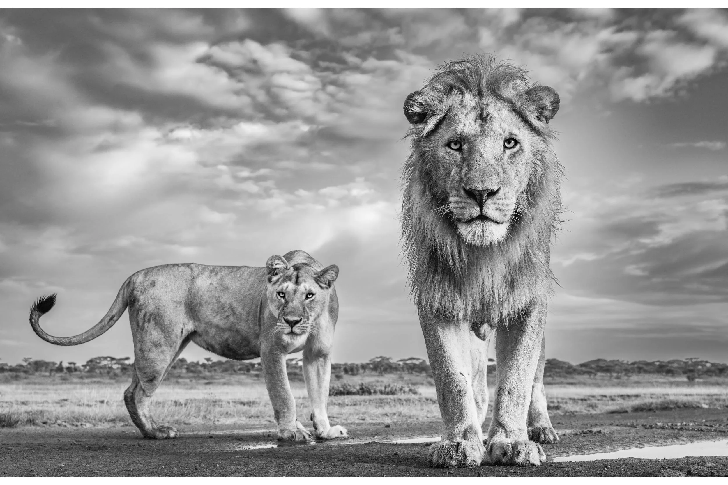 OUR KINGDOM
