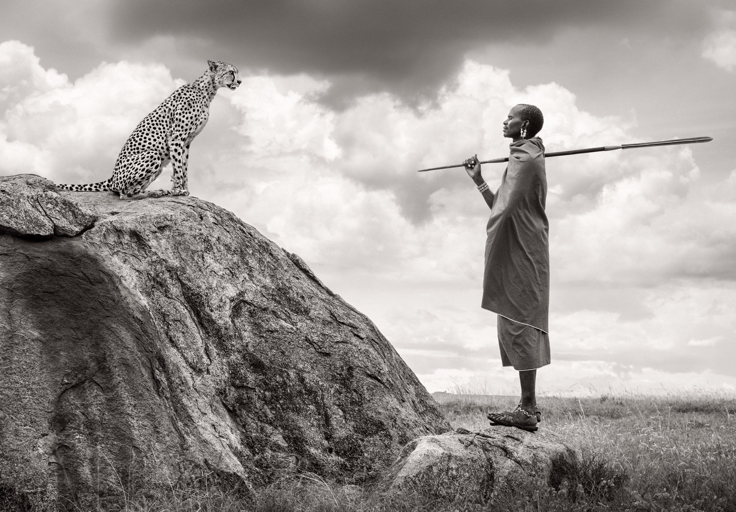 A composite image of a Maasai warrior standing face to face with a cheetah on a rocky kopje, beneath a dramatic African sky.