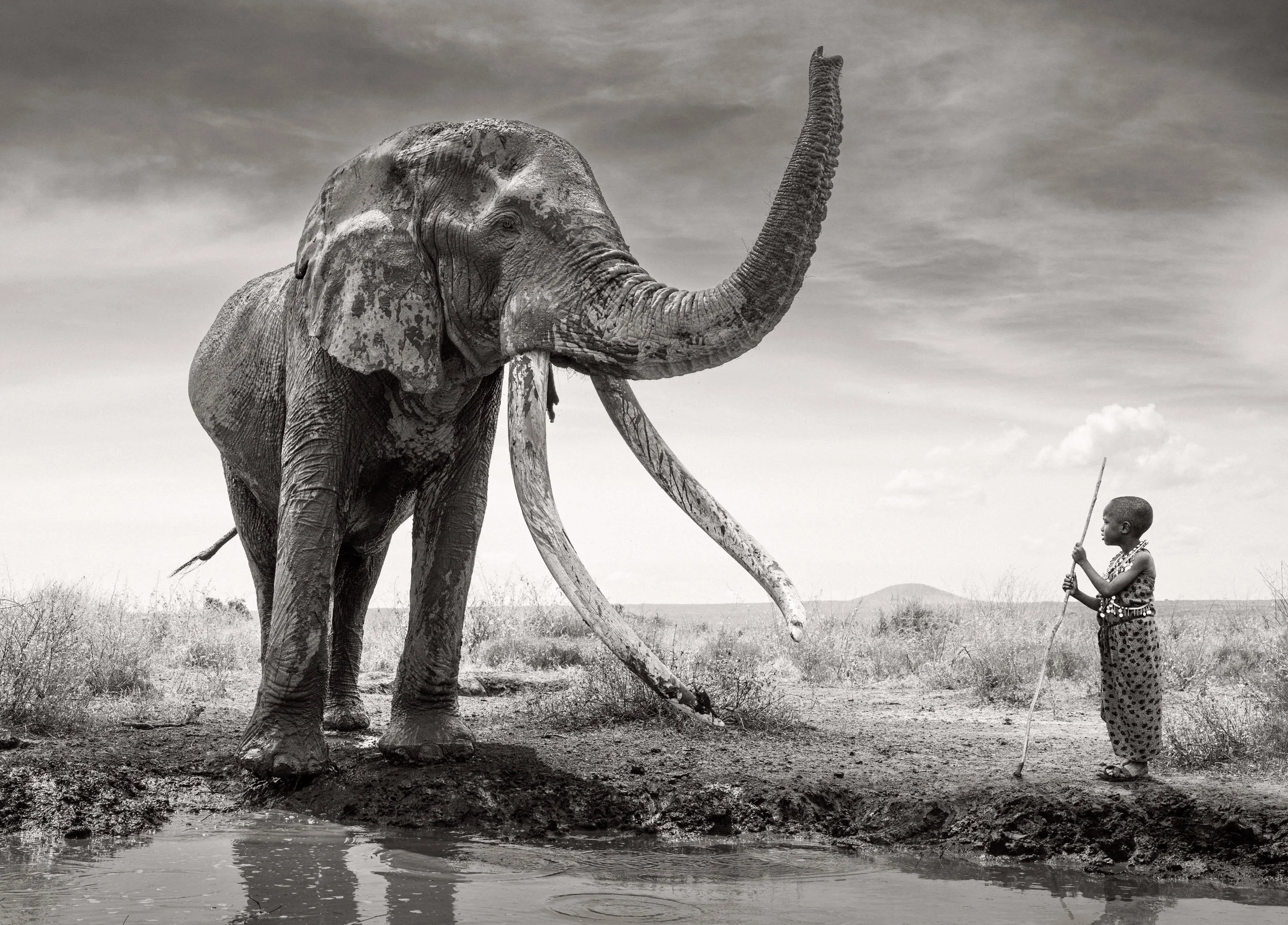 In this composite, Craig, the giant tusker elephant, stands beside a young Maasai boy at a waterhole near Amboseli National Park, southern Kenya, on the African savanna.