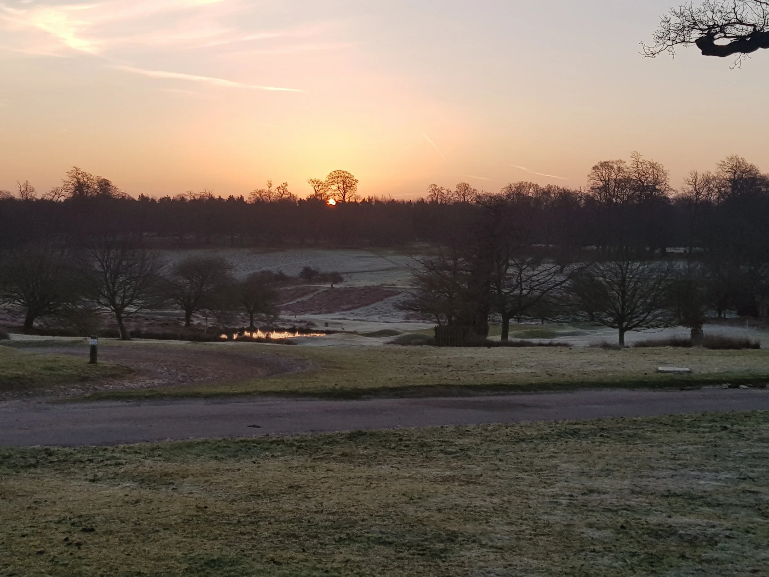 Knole Sunset 3 © Knole Estate