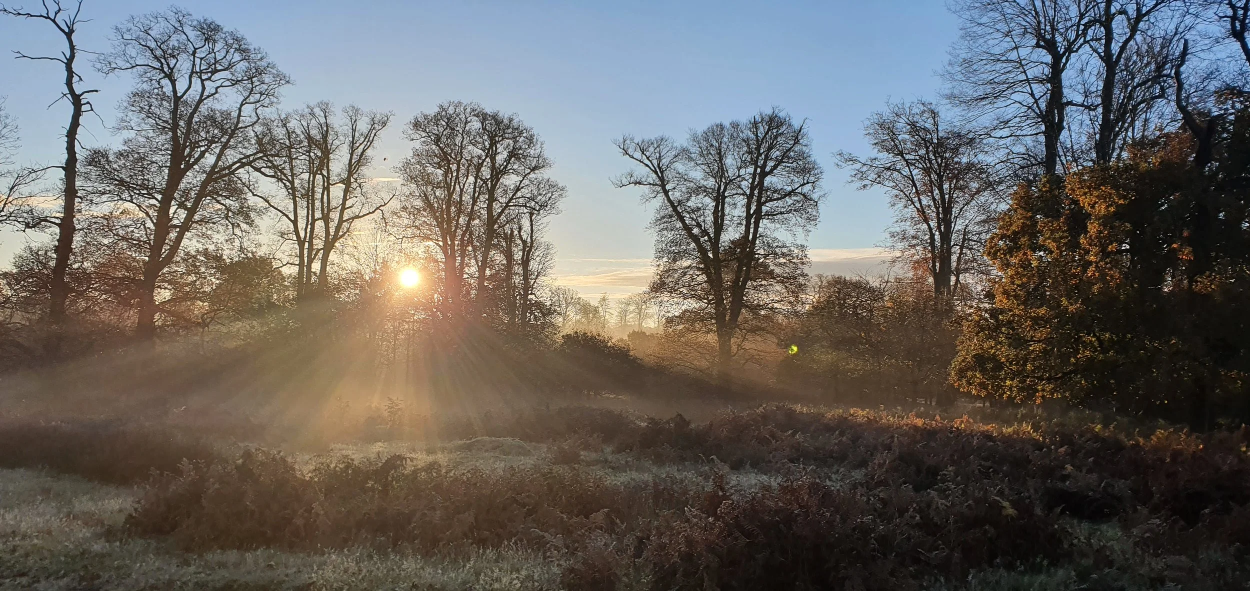 Knole Sunset 3 © Knole Estate