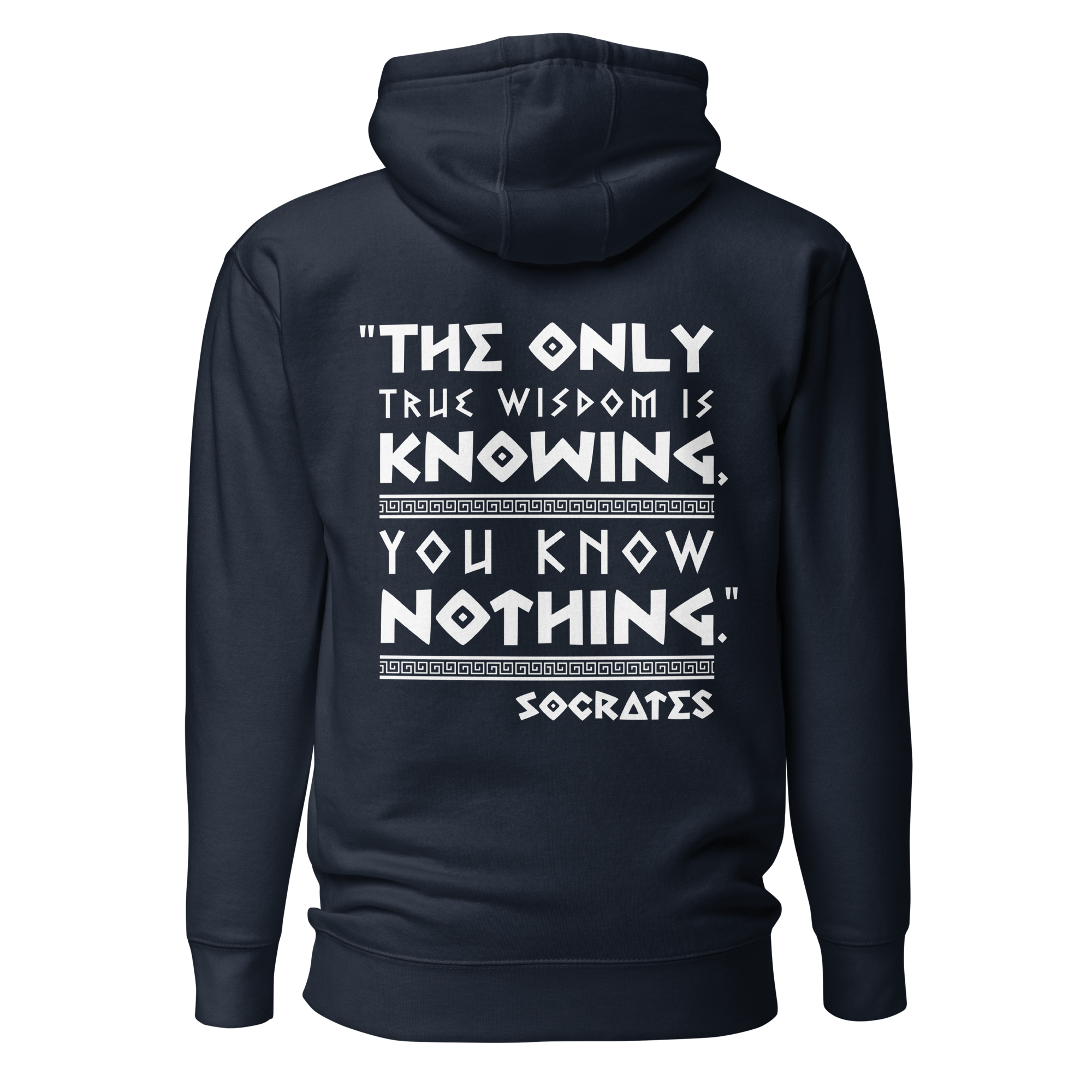 unisex-premium-pullover-hoodie-navy-blazer-back-69e6fc3c3d773.png