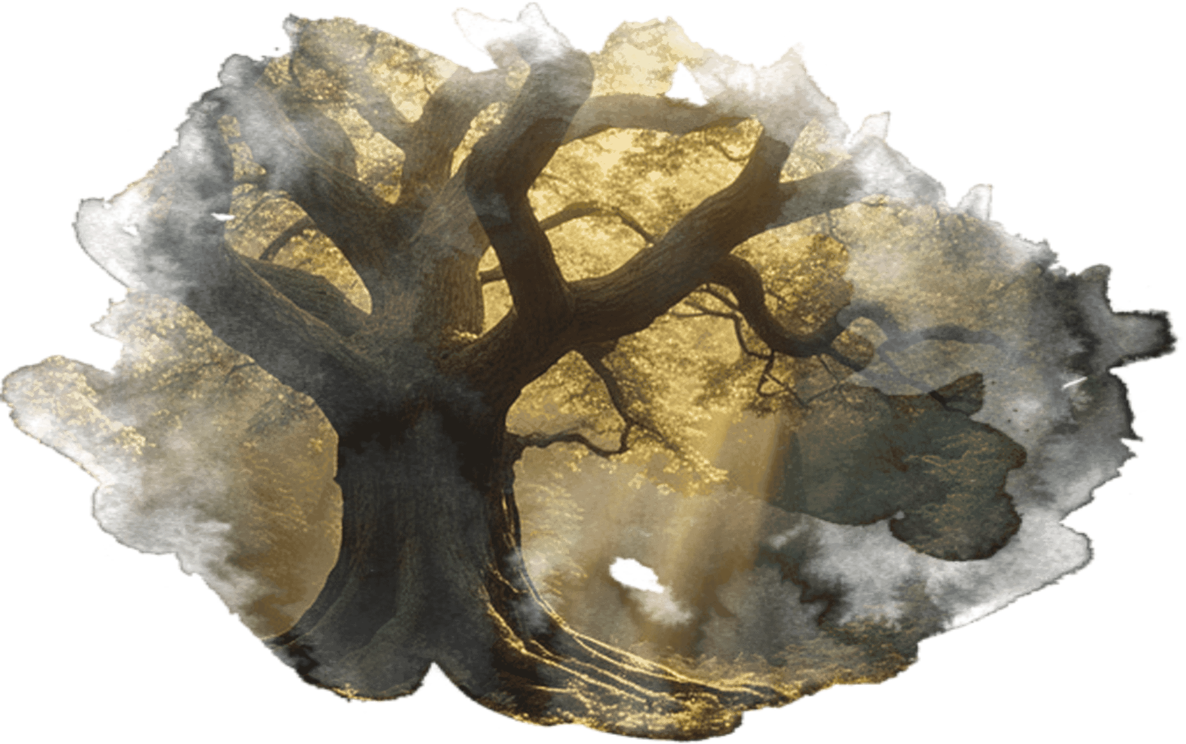 A large, sprawling tree with twisted branches and thick trunks, illuminated by sunlight streaming through the leaves in a forest setting.