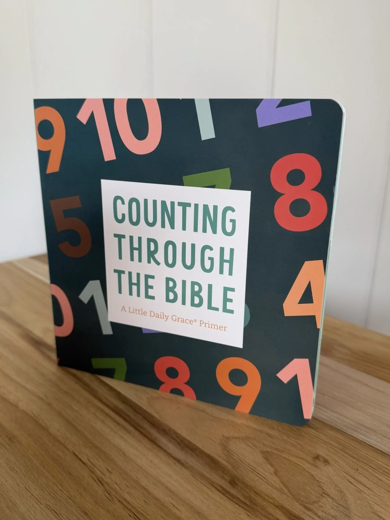 Counting Through The Bible Children's Book