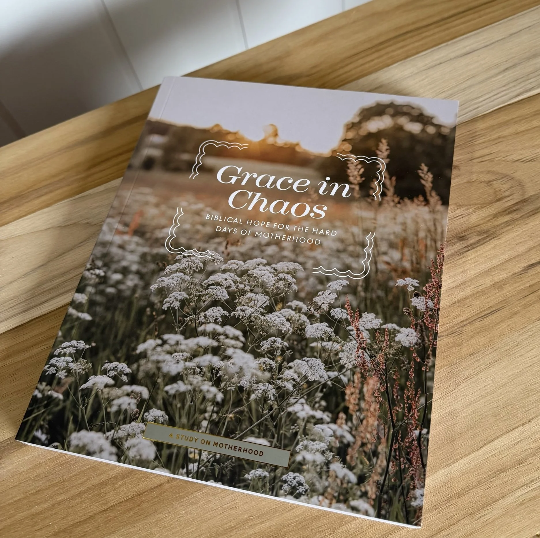 Grace In Chaos Bible Study