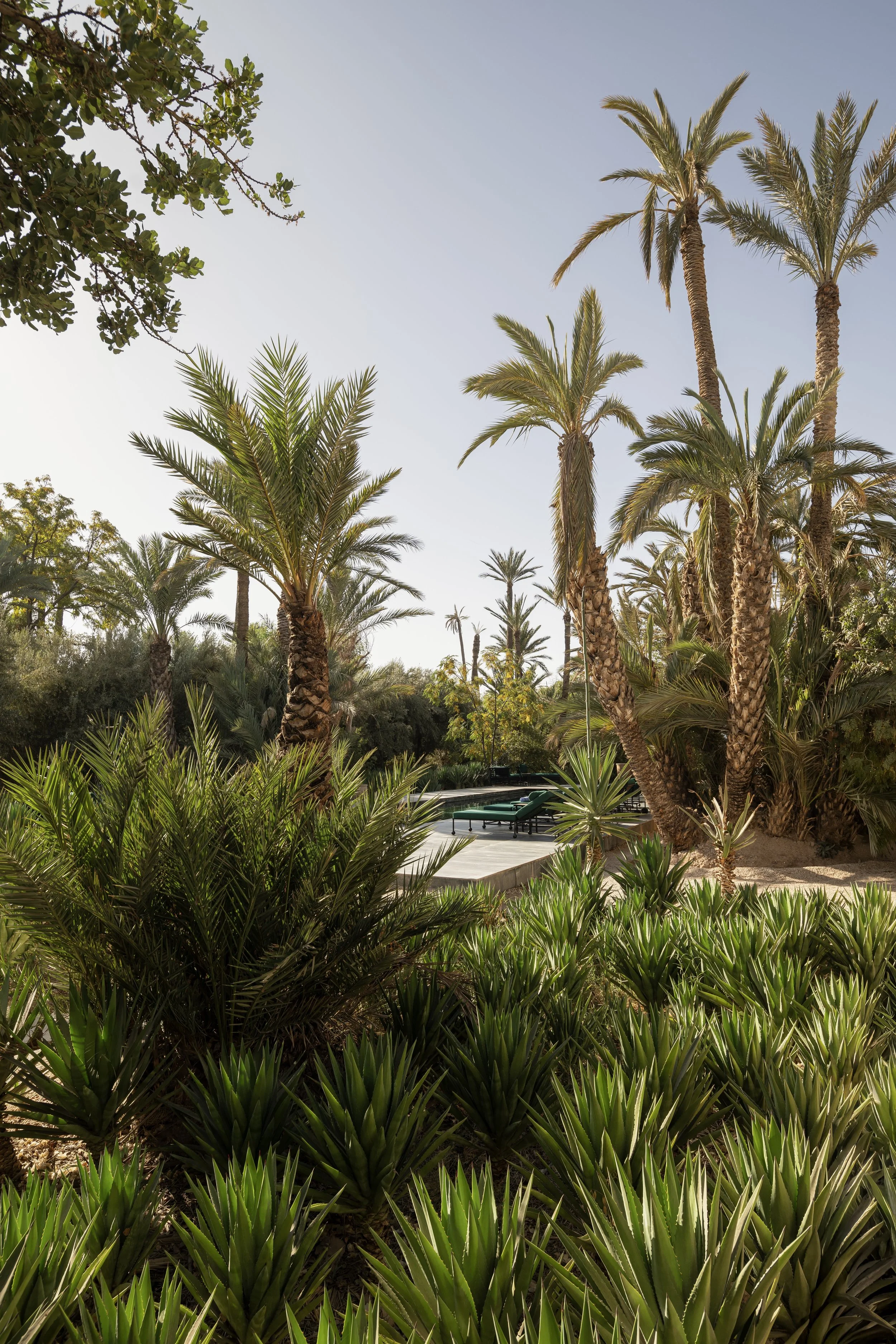 Towards a pool Jnane Tamsna David Dumonjpg.jpg