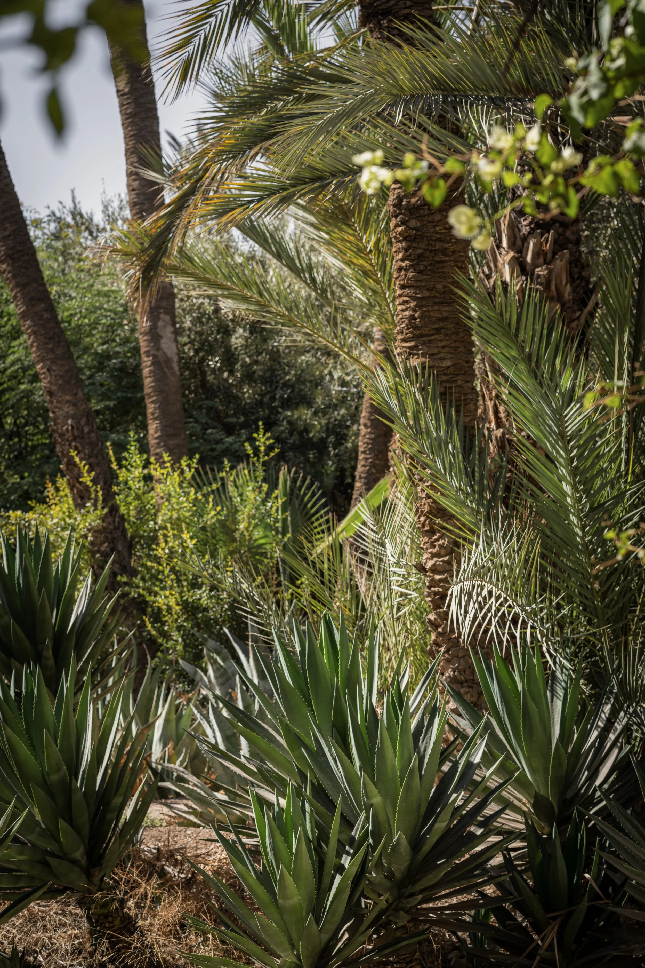 _DSC3989 (1) (1).jpg