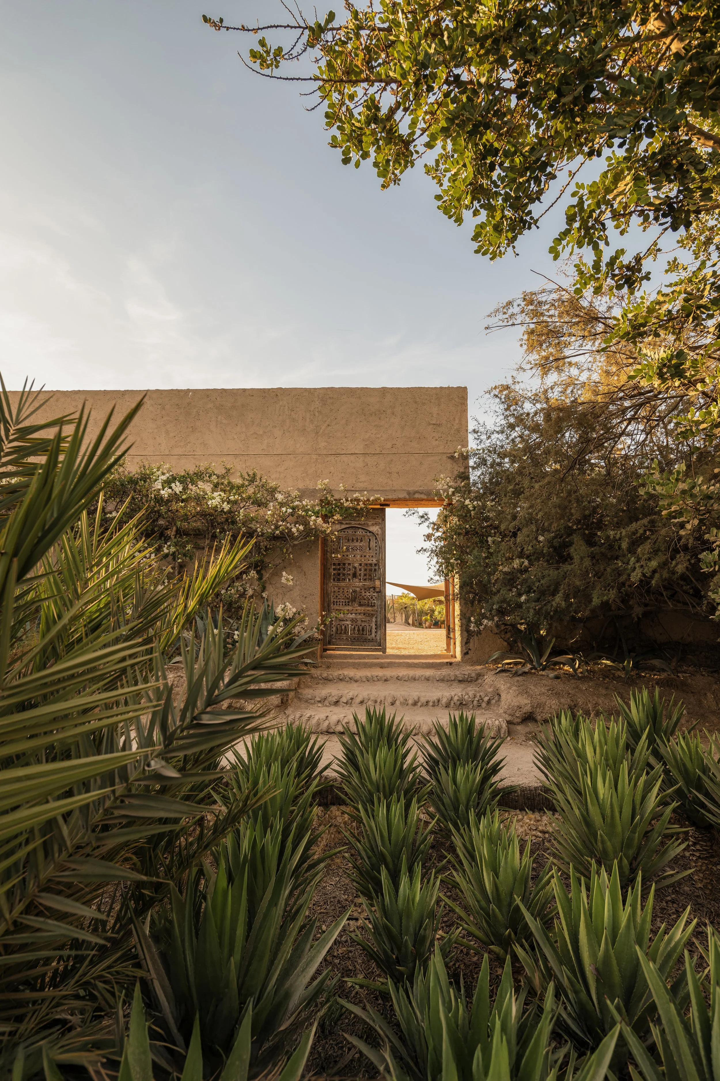 Towards our desert camp.jpg