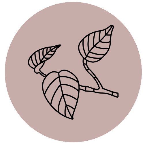 Minimalist line drawing of a small branch with three leaves on a pink circular background.