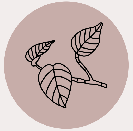 Minimalist line drawing of a small branch with three leaves on a pink circular background.