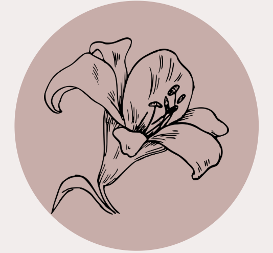 Line drawing of a flower with large petals and a circular center against a light brown circular background.