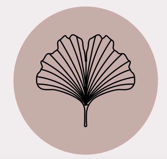 Line drawing of a ginkgo leaf with radiating lines, placed inside a pink circle on a light background.