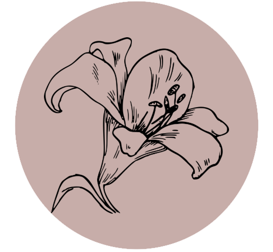 Line drawing of a flower with large petals and a circular center against a light brown circular background.