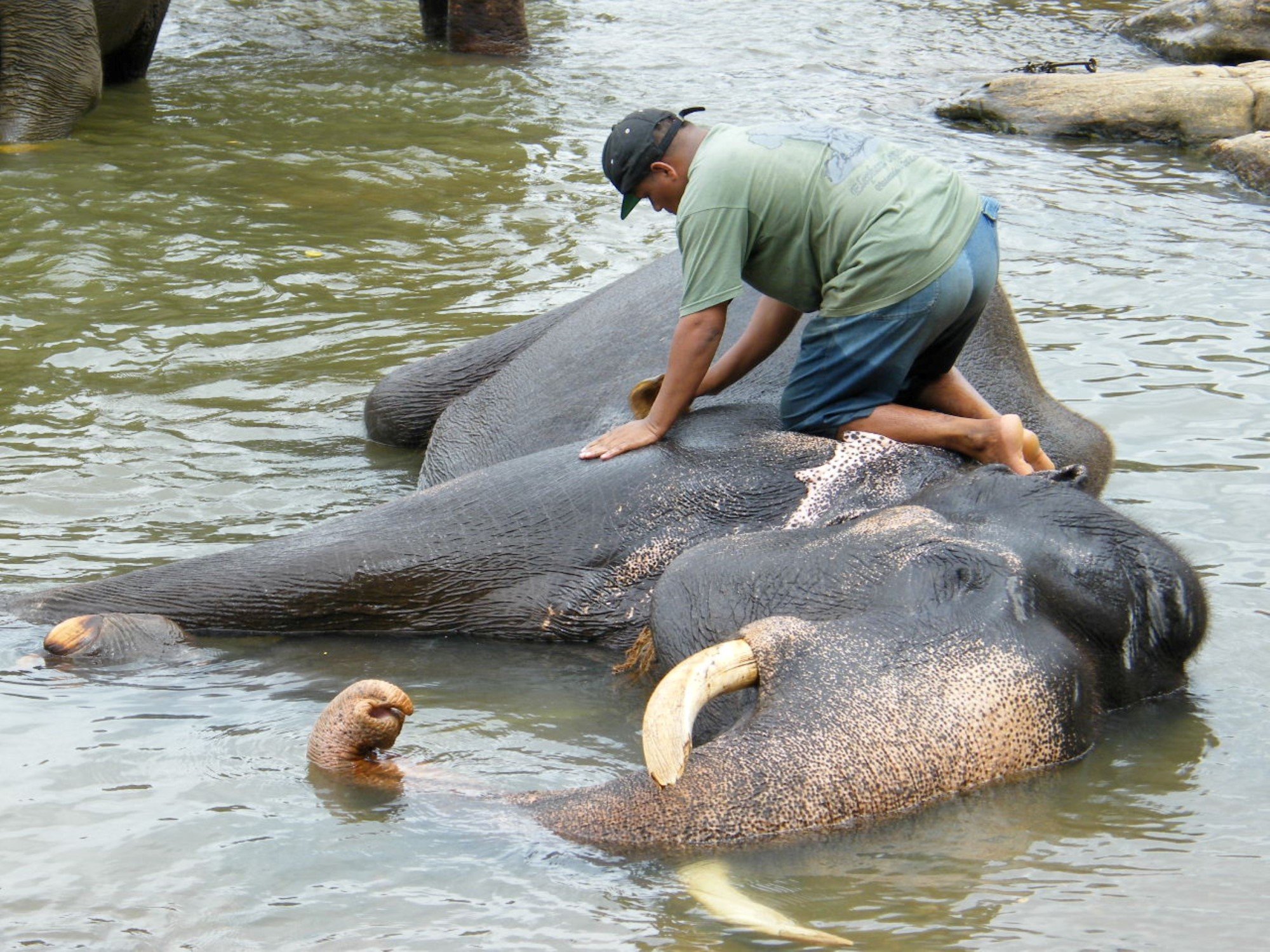Sri Lanka Day2  (12).JPG