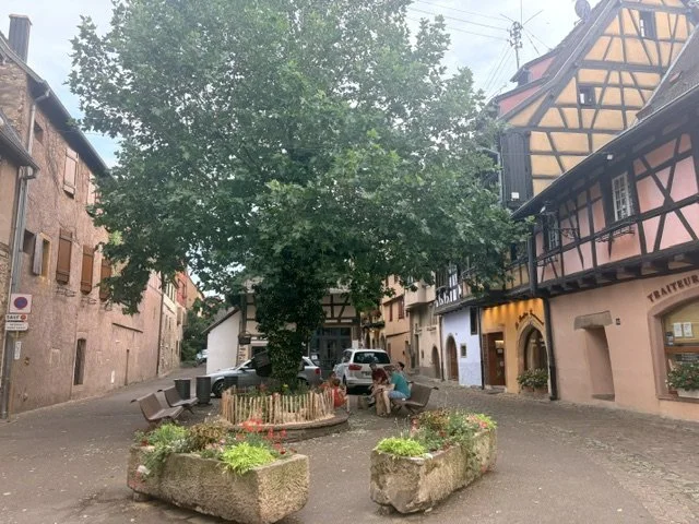 Motorhome France Day 42 - Eguisheim (16).jpeg