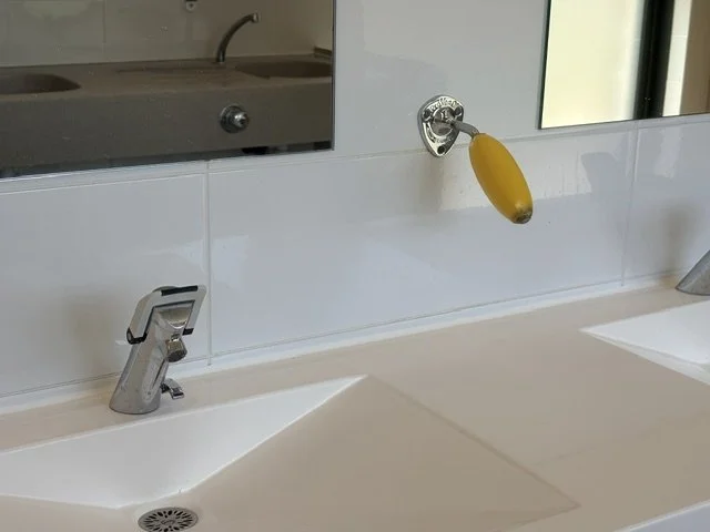 IMG_9505.jpeg