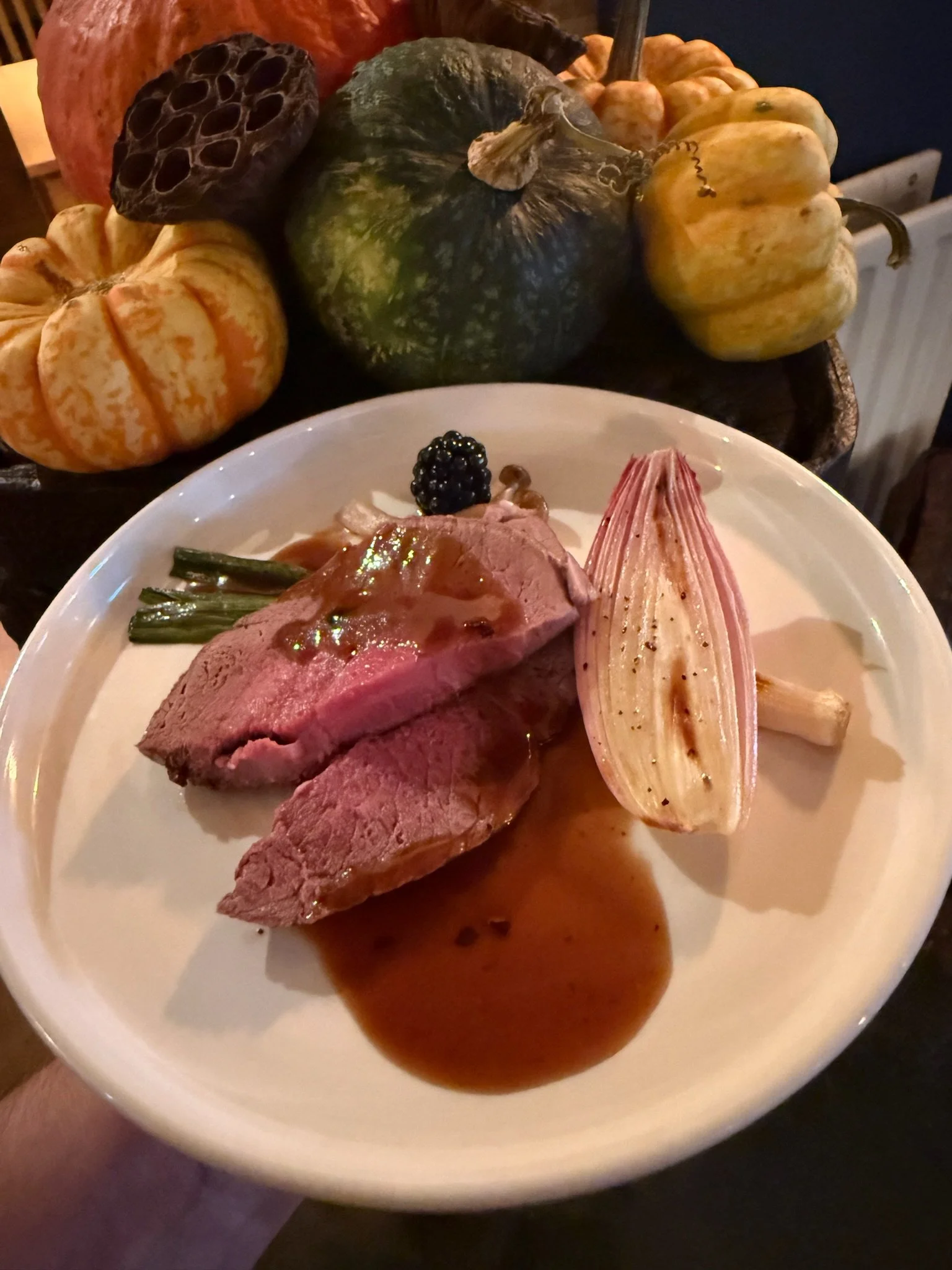 A plate with slices of cooked meat topped with gravy, grilled green beans, a roasted onion half, and a blackberry, in front of a cornucopia of pumpkins and squash.