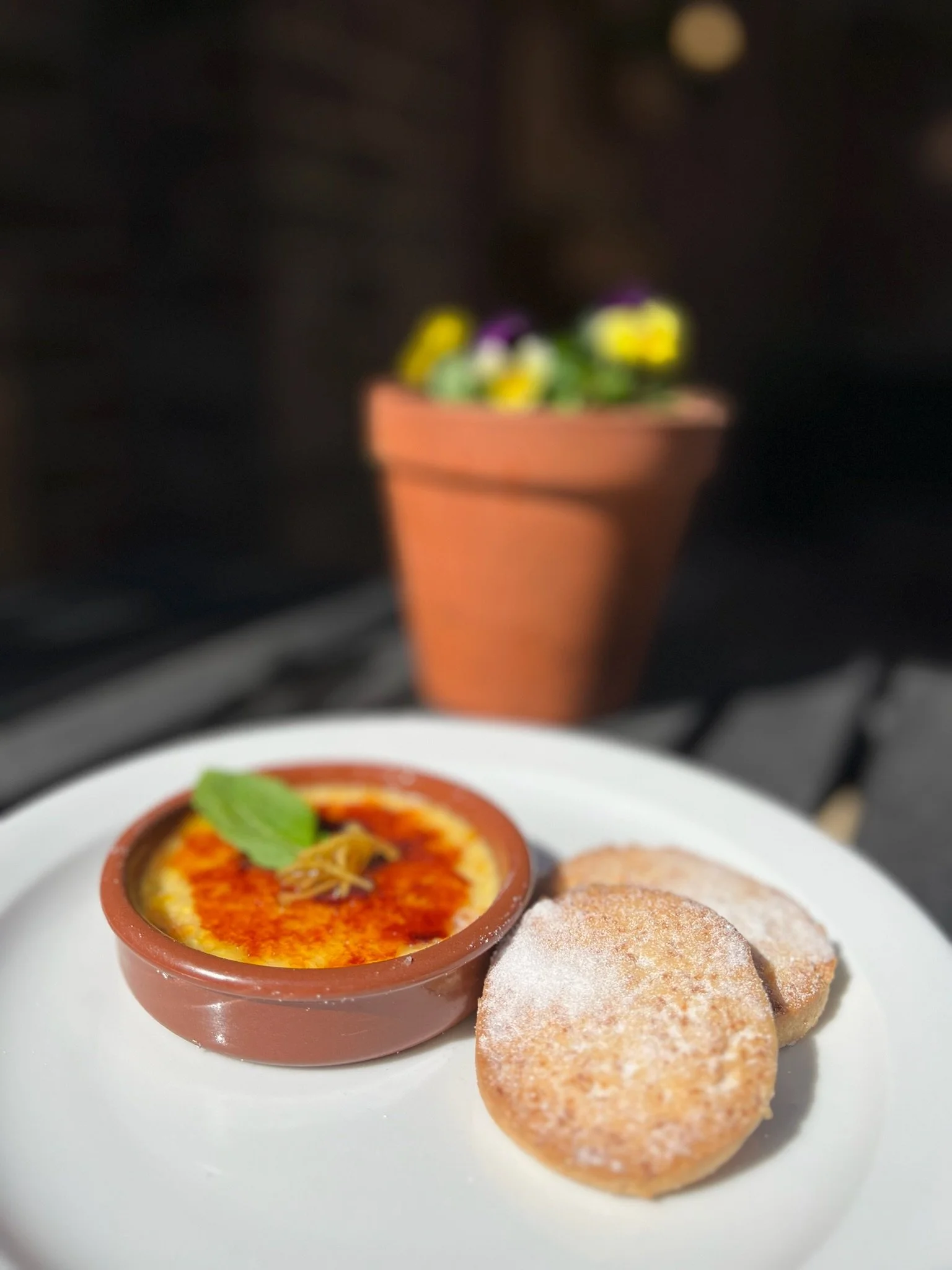 A white plate with two fried dough pastries dusted with powdered sugar next to a small brown terracotta bowl of baked cheese dish garnished with a basil leaf and bean sprouts, with a potted flowering plant in the blurred background.