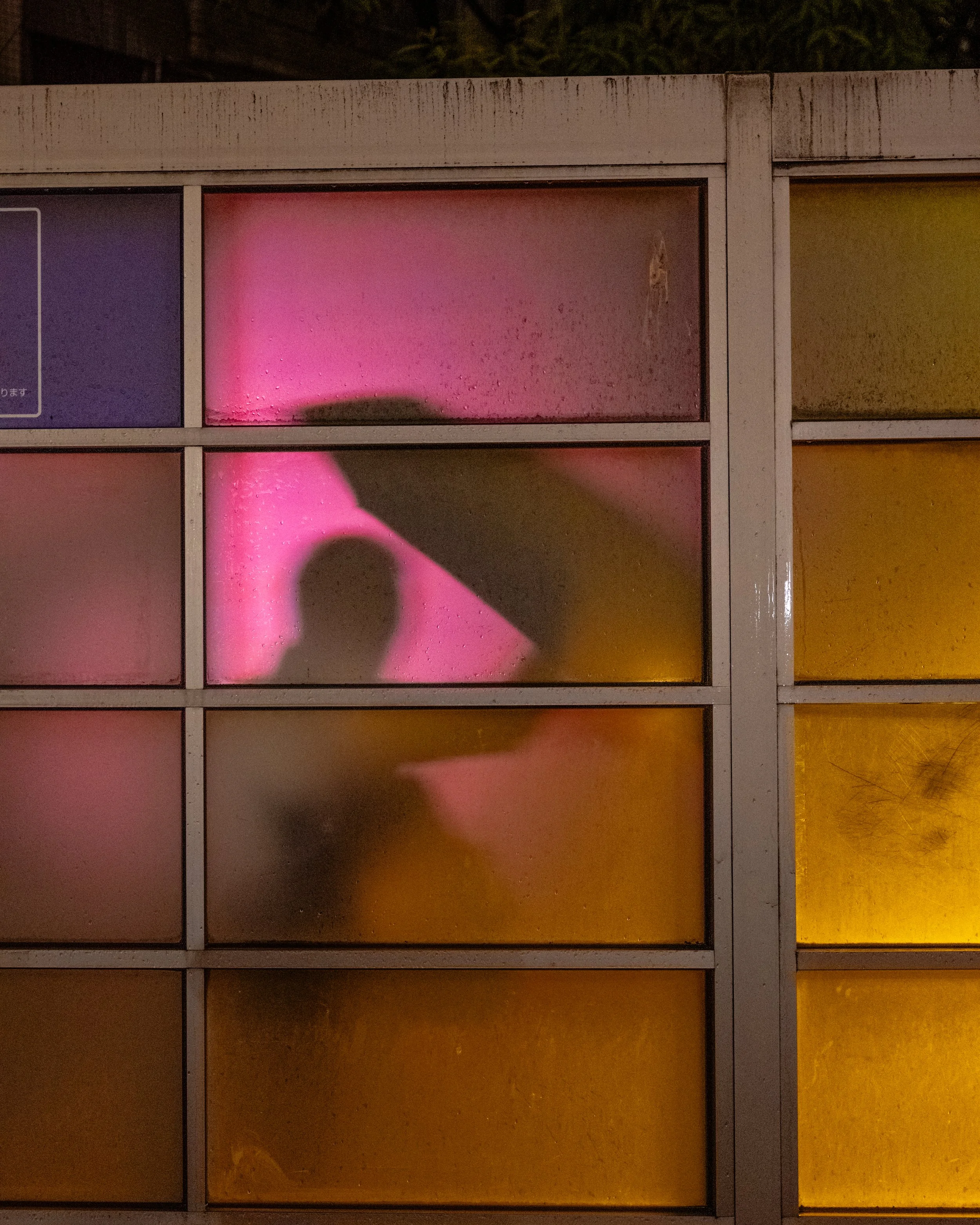 L1040778.jpg