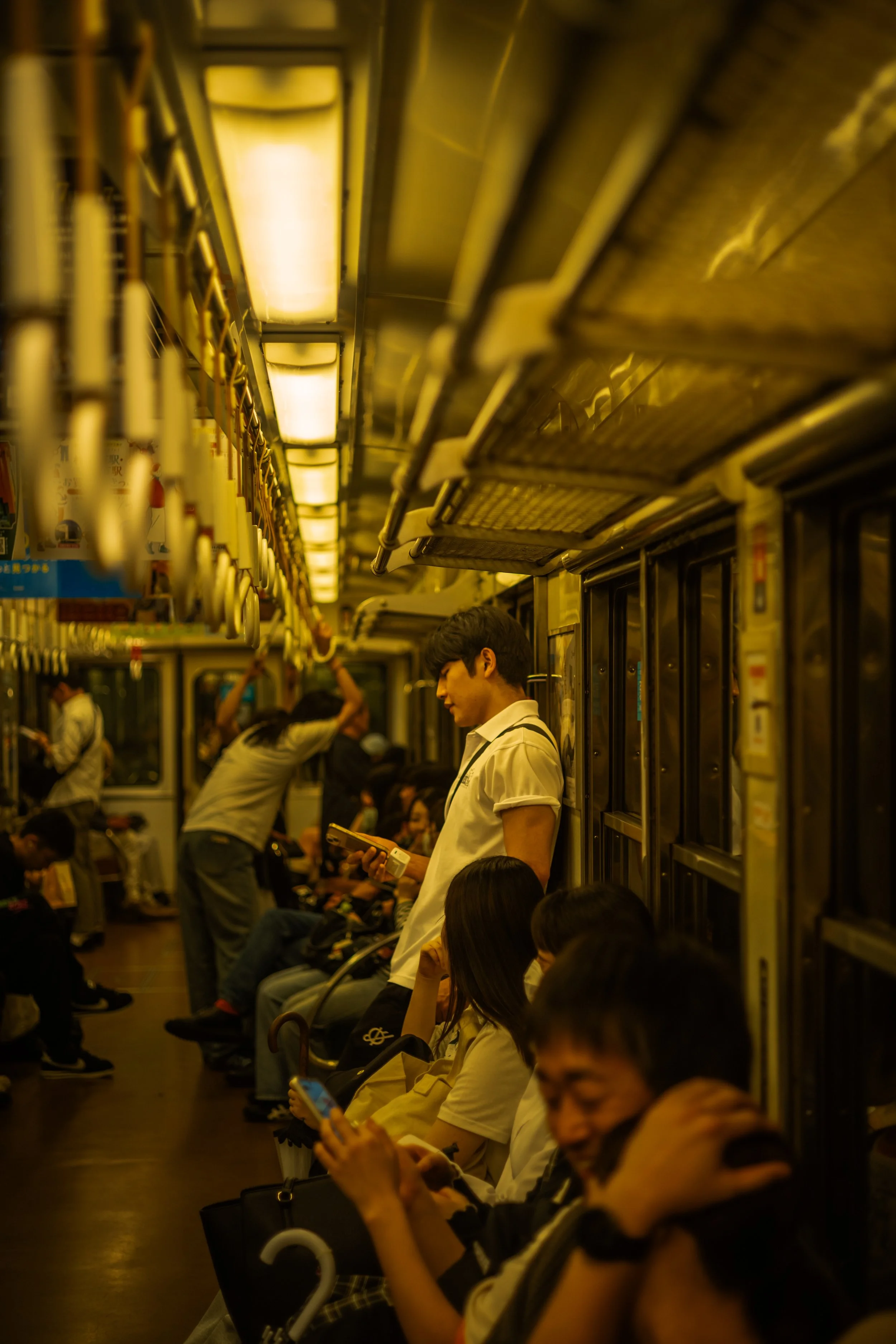 L1050679.jpg