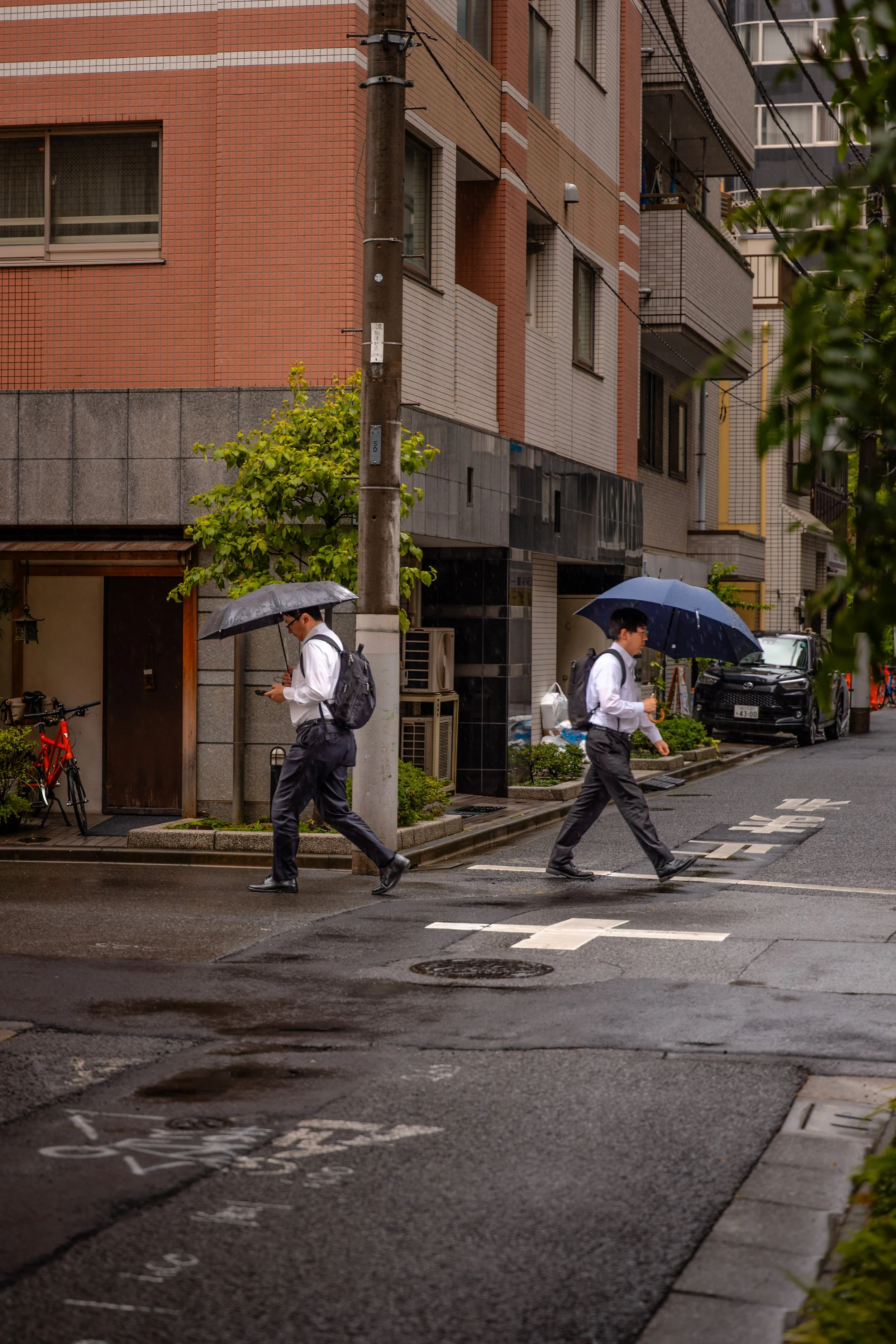 L1040097.jpg