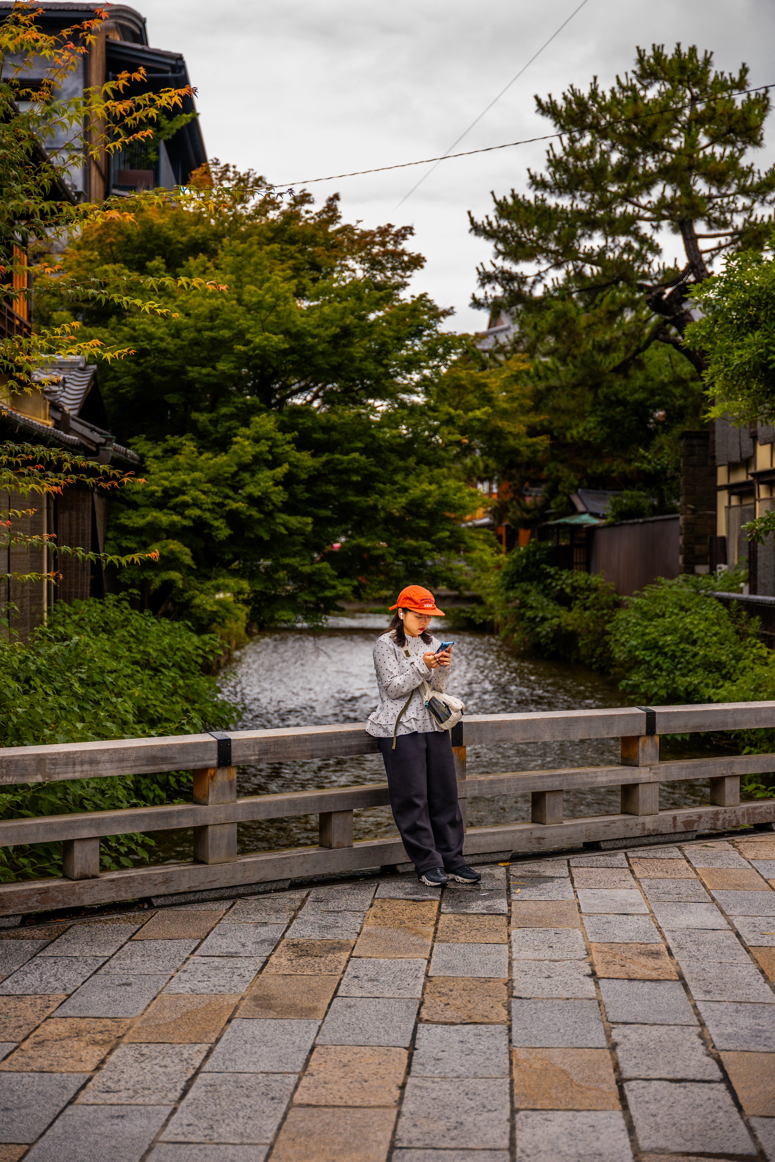 L1050600.jpg