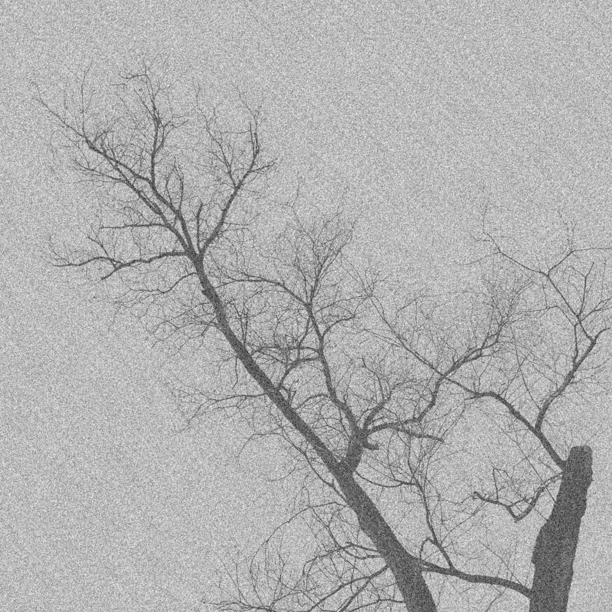 fieldnotes  |  scribbles