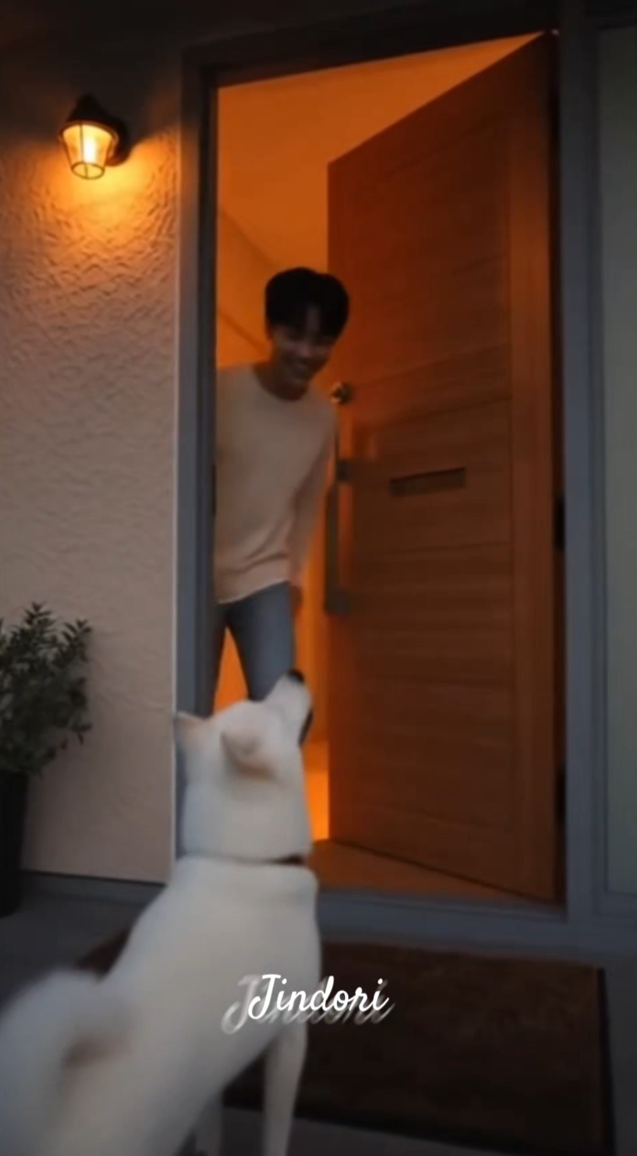 문 너머의 남성이 창문을 통해 집 내부로 웃으며 인사하고 있으며, 집 앞에는 강아지가 앉아 있어 배경은 따뜻한 조명으로 밝혀져 있음.