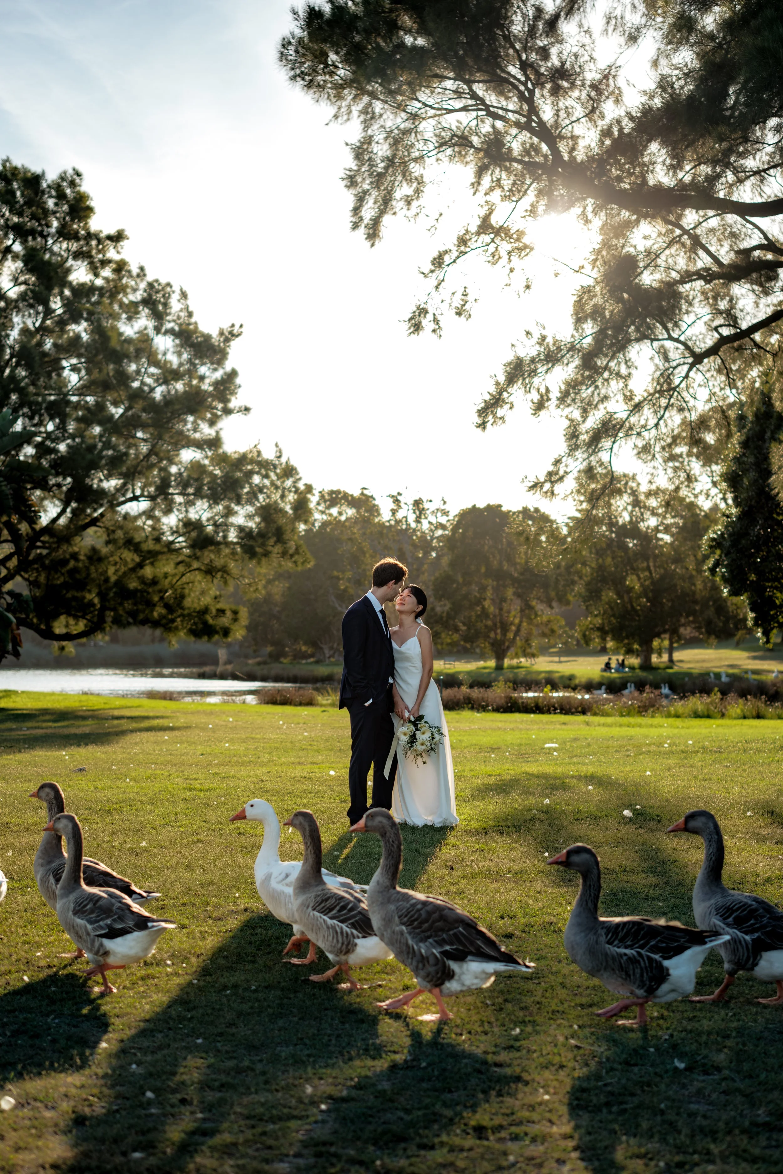 A bride and groom stand closely in a park at sunset, surrounded by geese and trees, with the bride holding a bouquet.