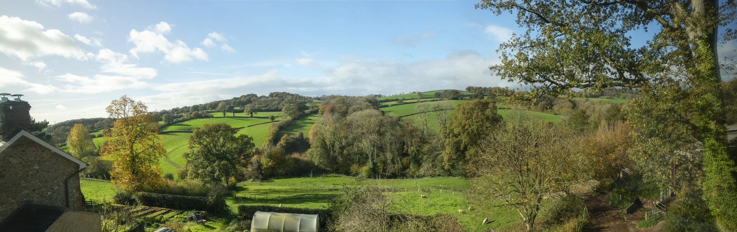 Welcome to Dennings Down. Nature and education are at heart of everything we do here →