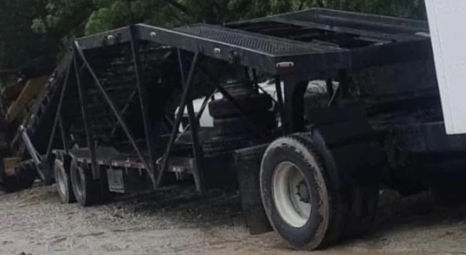 Tacuasina DRAGON 1986