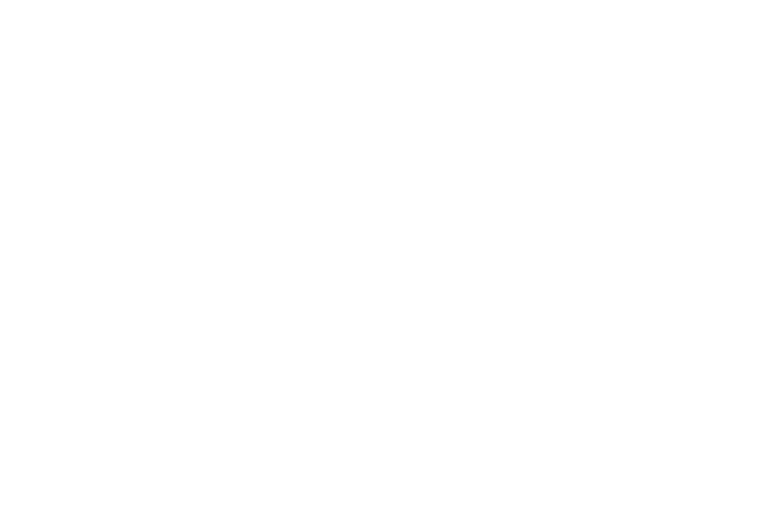 Moon Consulting Inc.