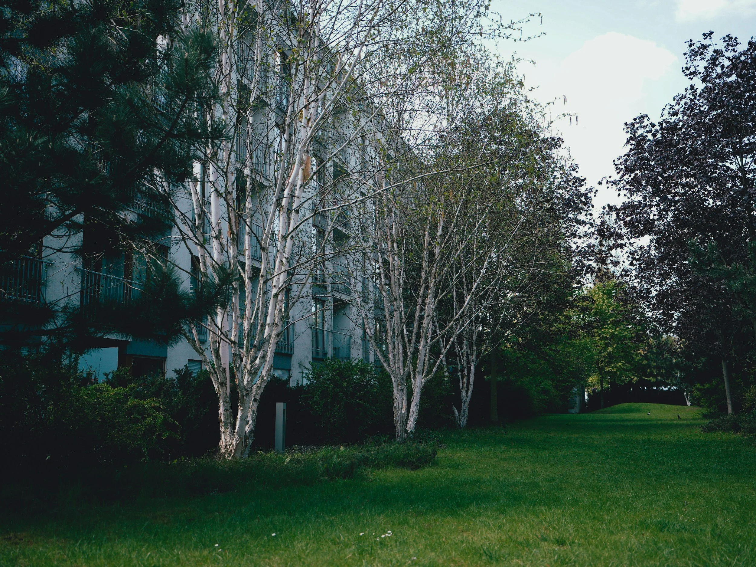 A grassy lawn with trees and shrubs in front of an apartment building with balconies and windows, under a partly cloudy sky.