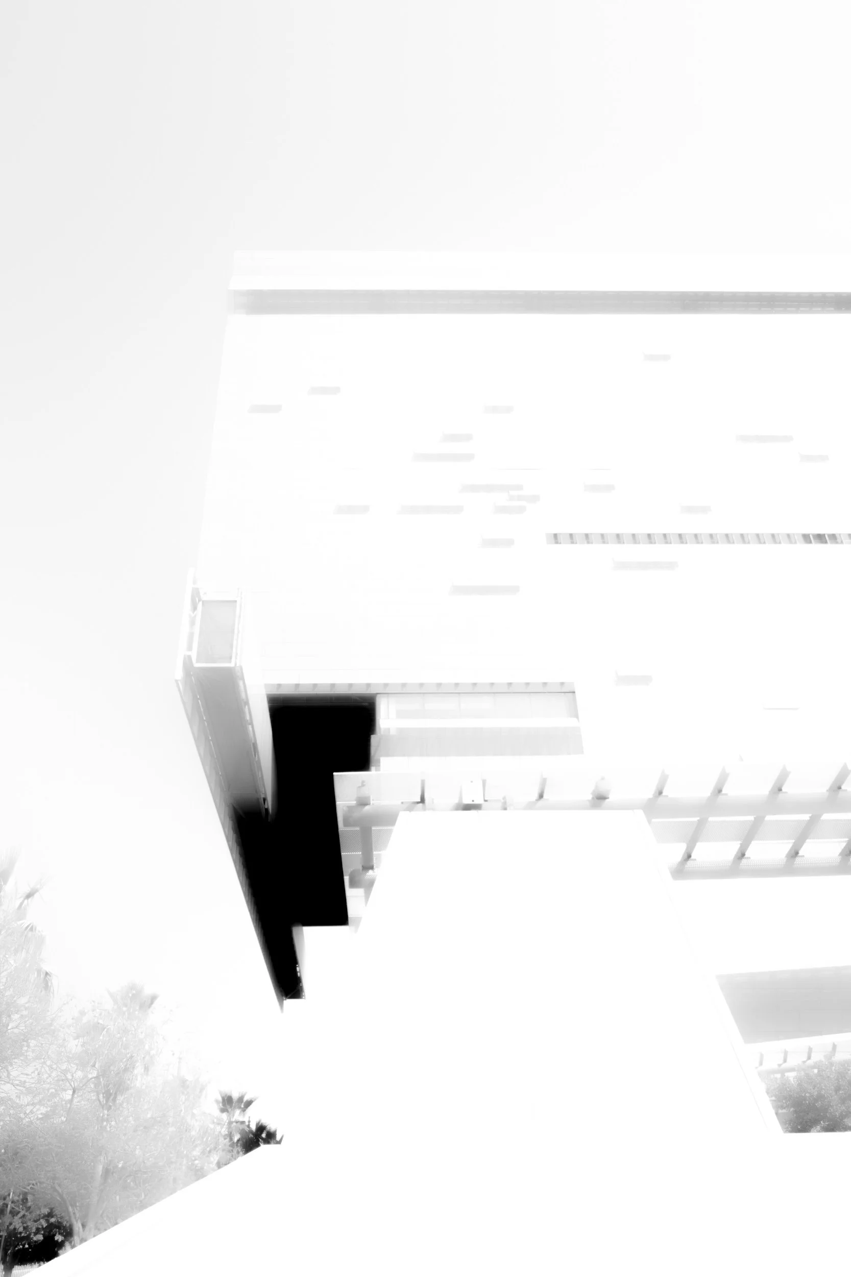 White Space