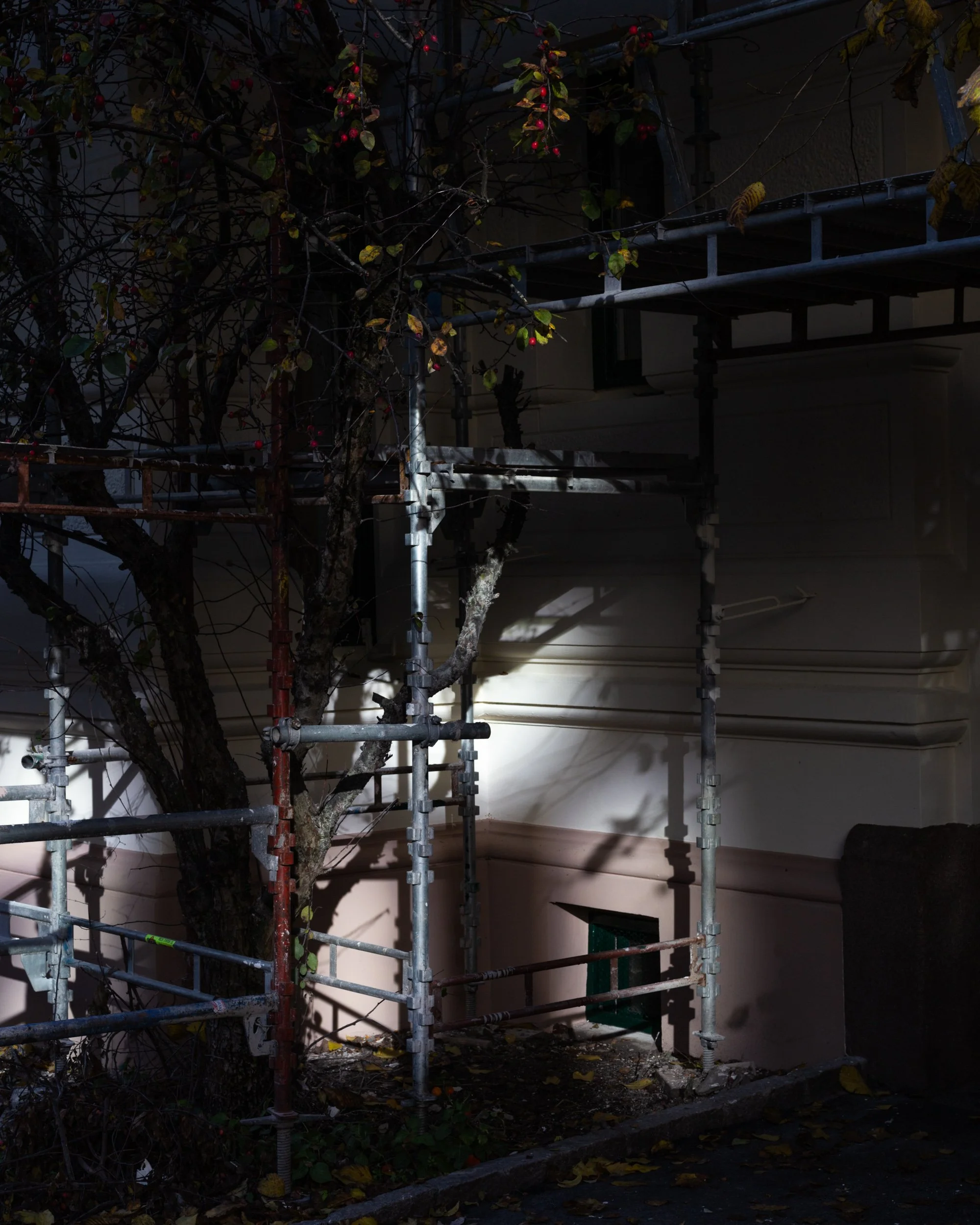 Encroachment_41.jpg