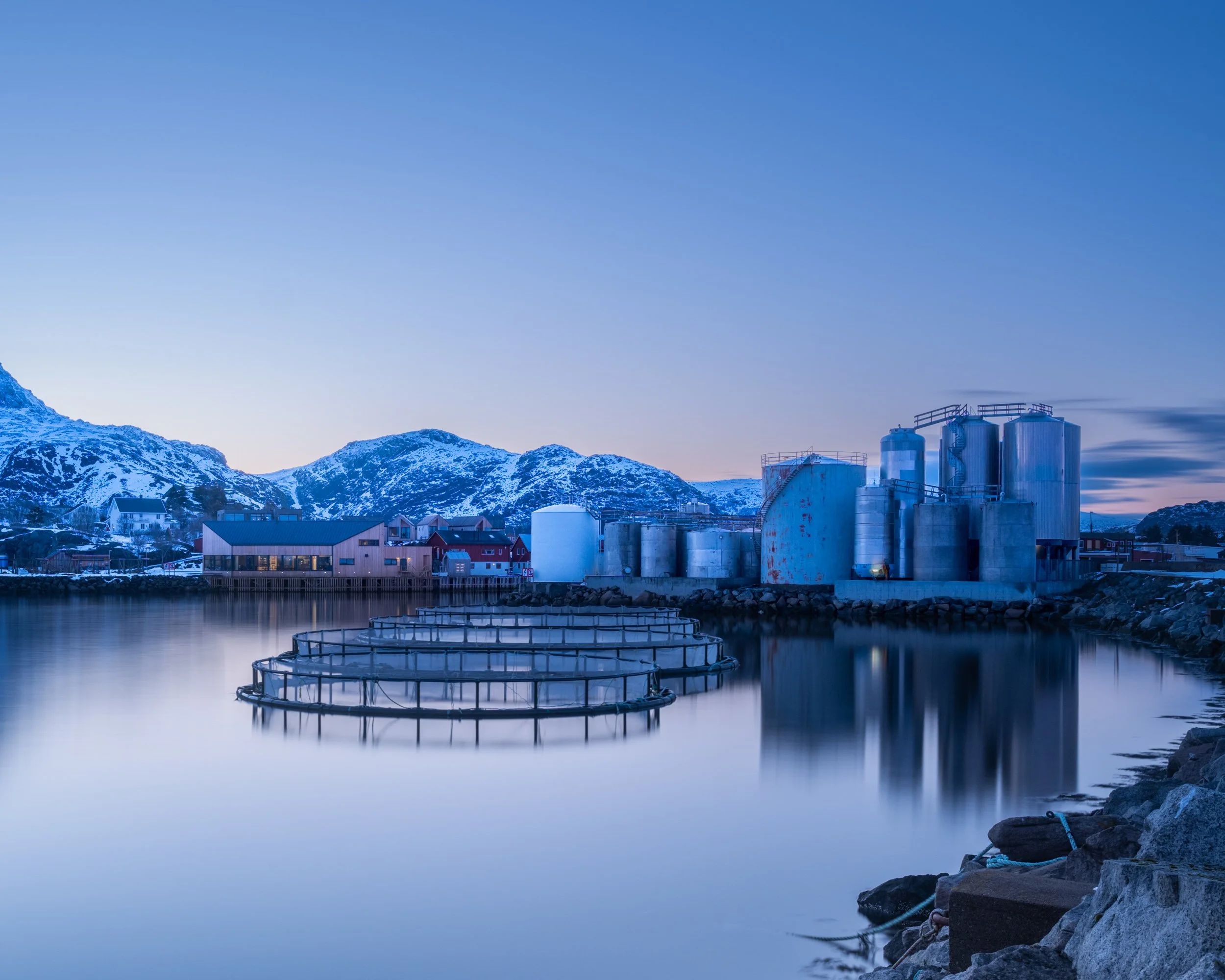 Restaurant Fangst, Ballstad, Lofoten