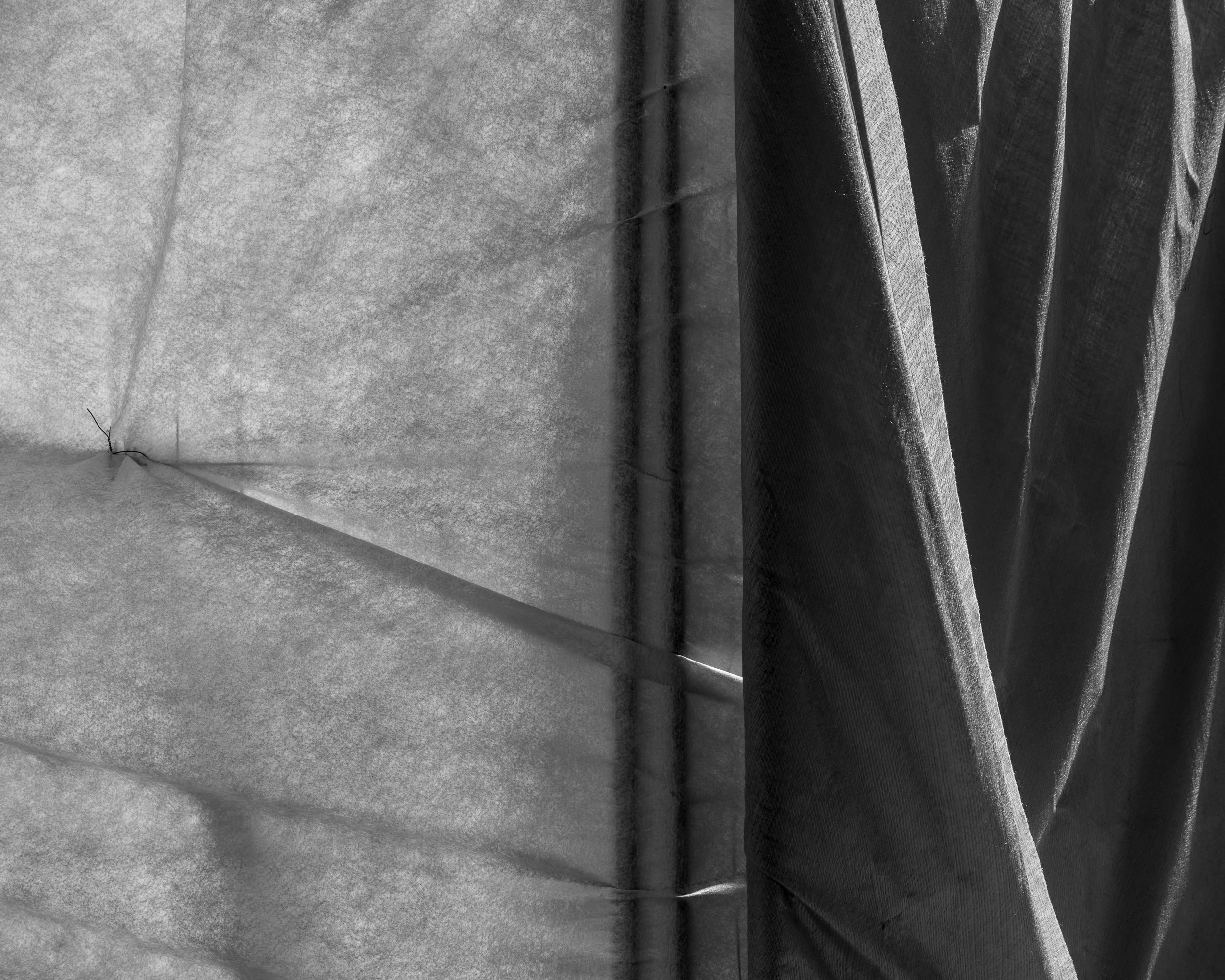 Encroachment_07.jpg