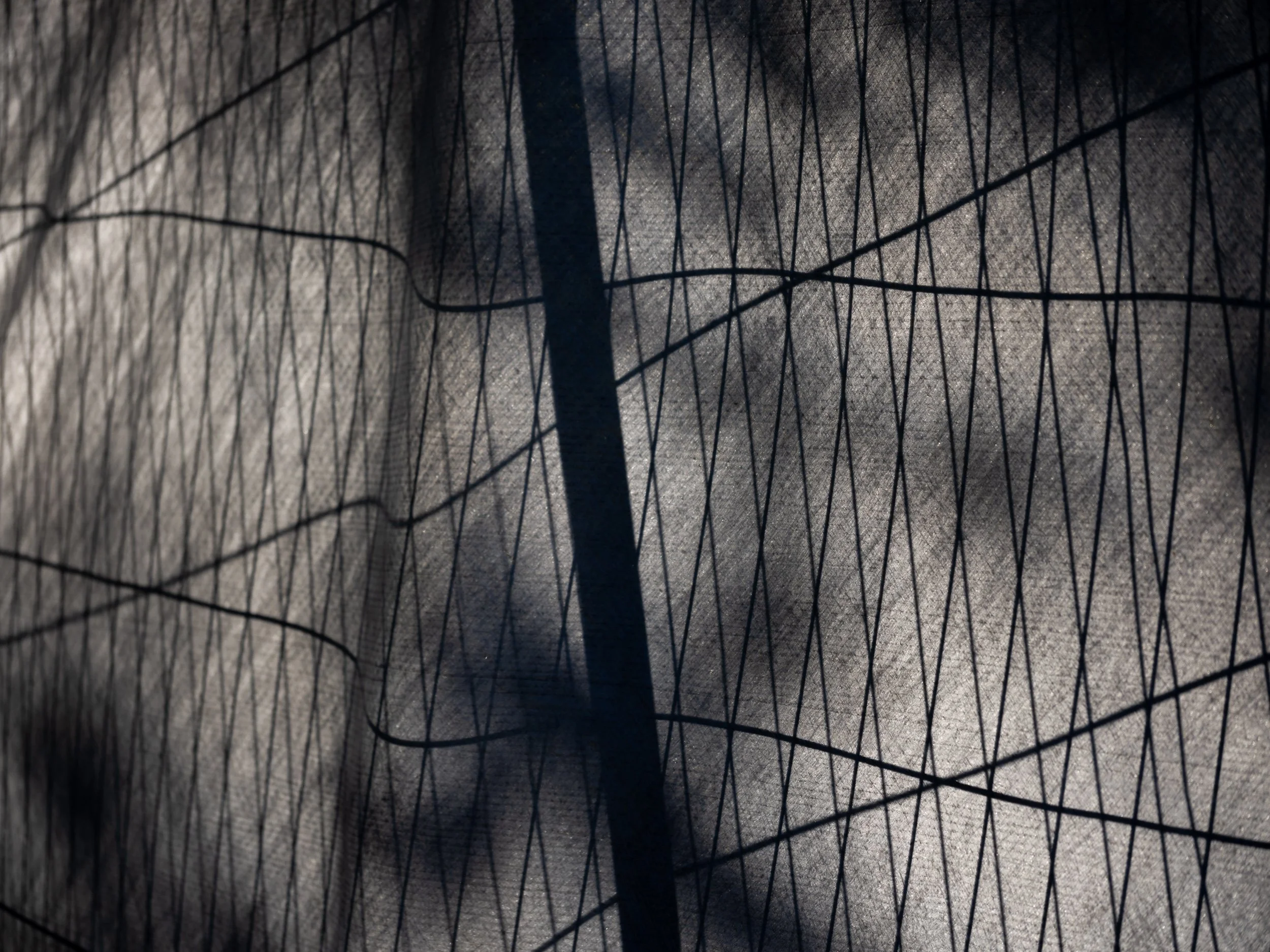 Encroachment_20.jpg