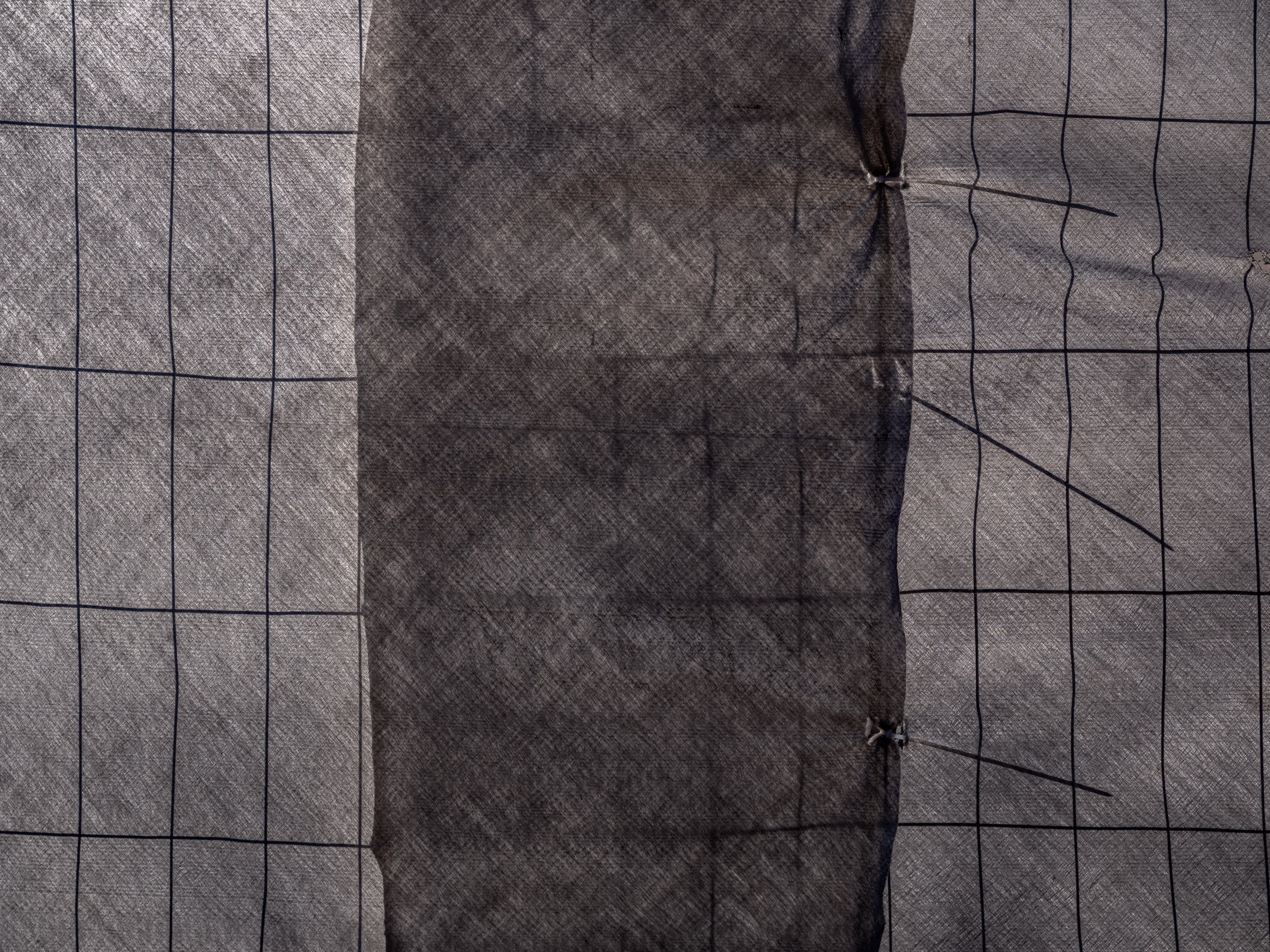 Encroachment_21.jpg