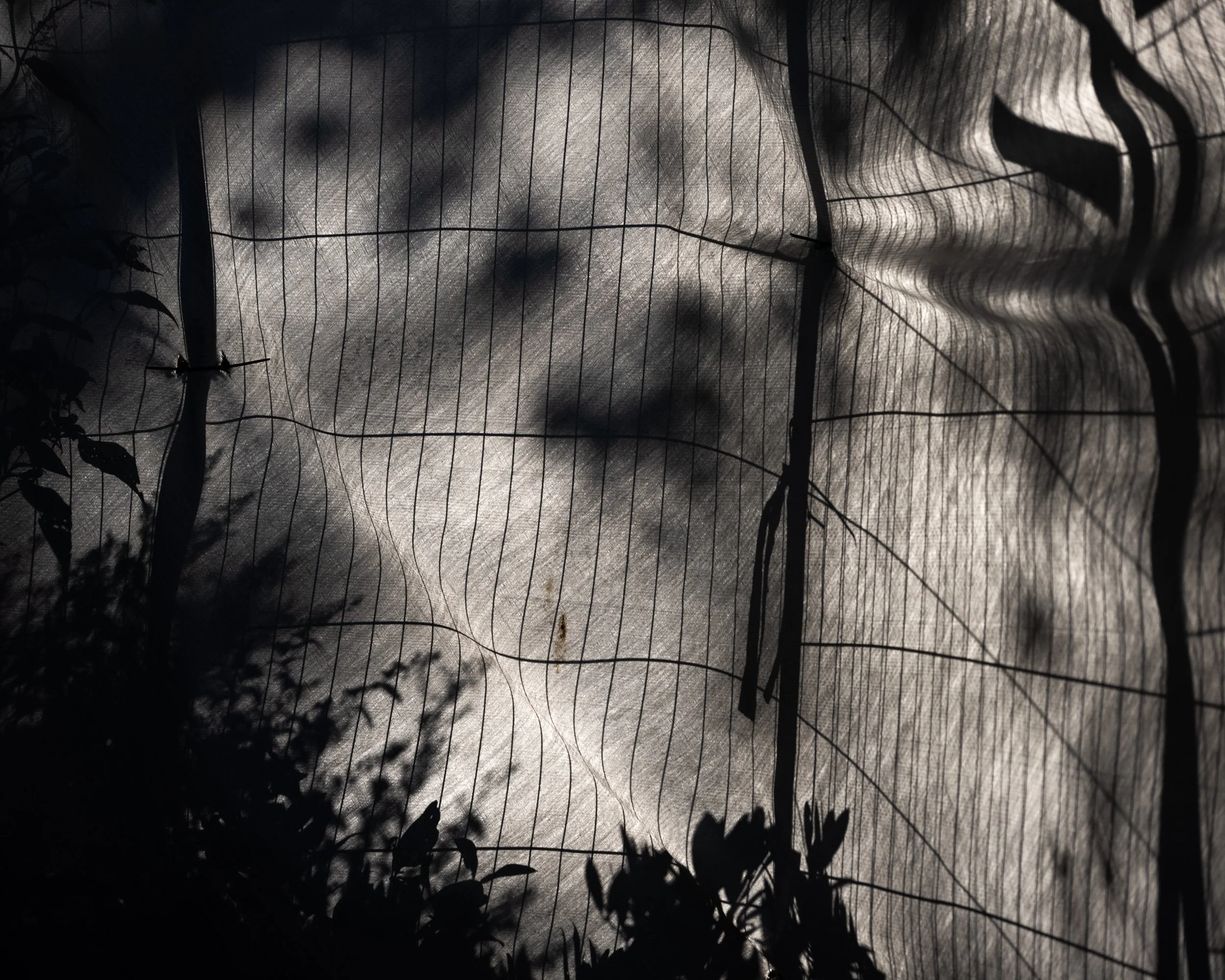 Encroachment_22.jpg