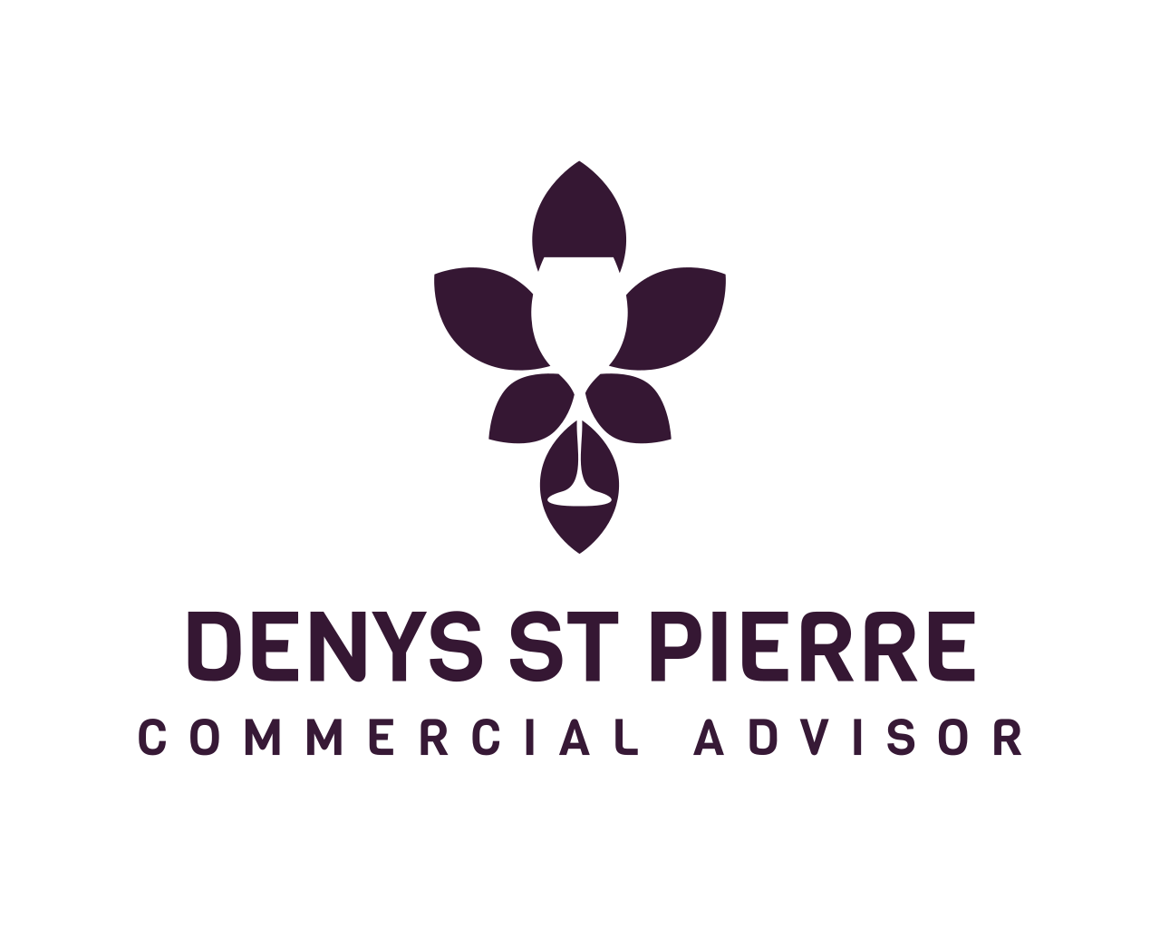 Denys St Pierre
