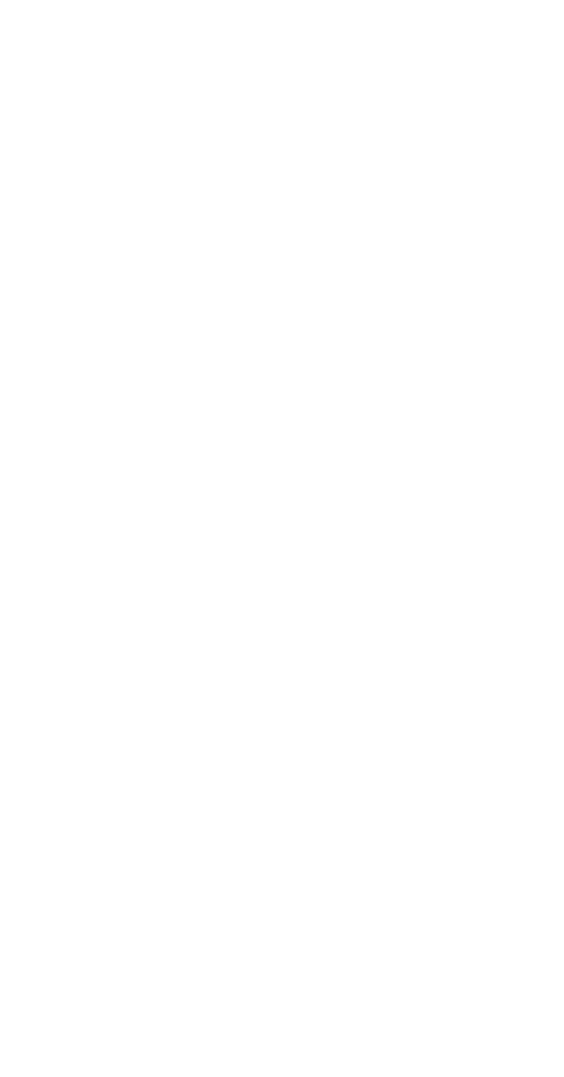 Black and white emblem with SS insignia and the text 'A303' at the top.